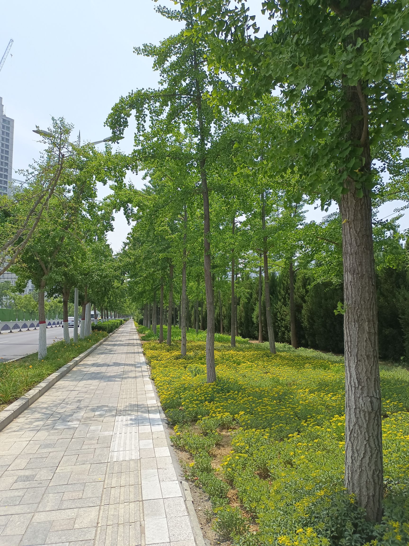 鸽子窝公园旅行图片 2