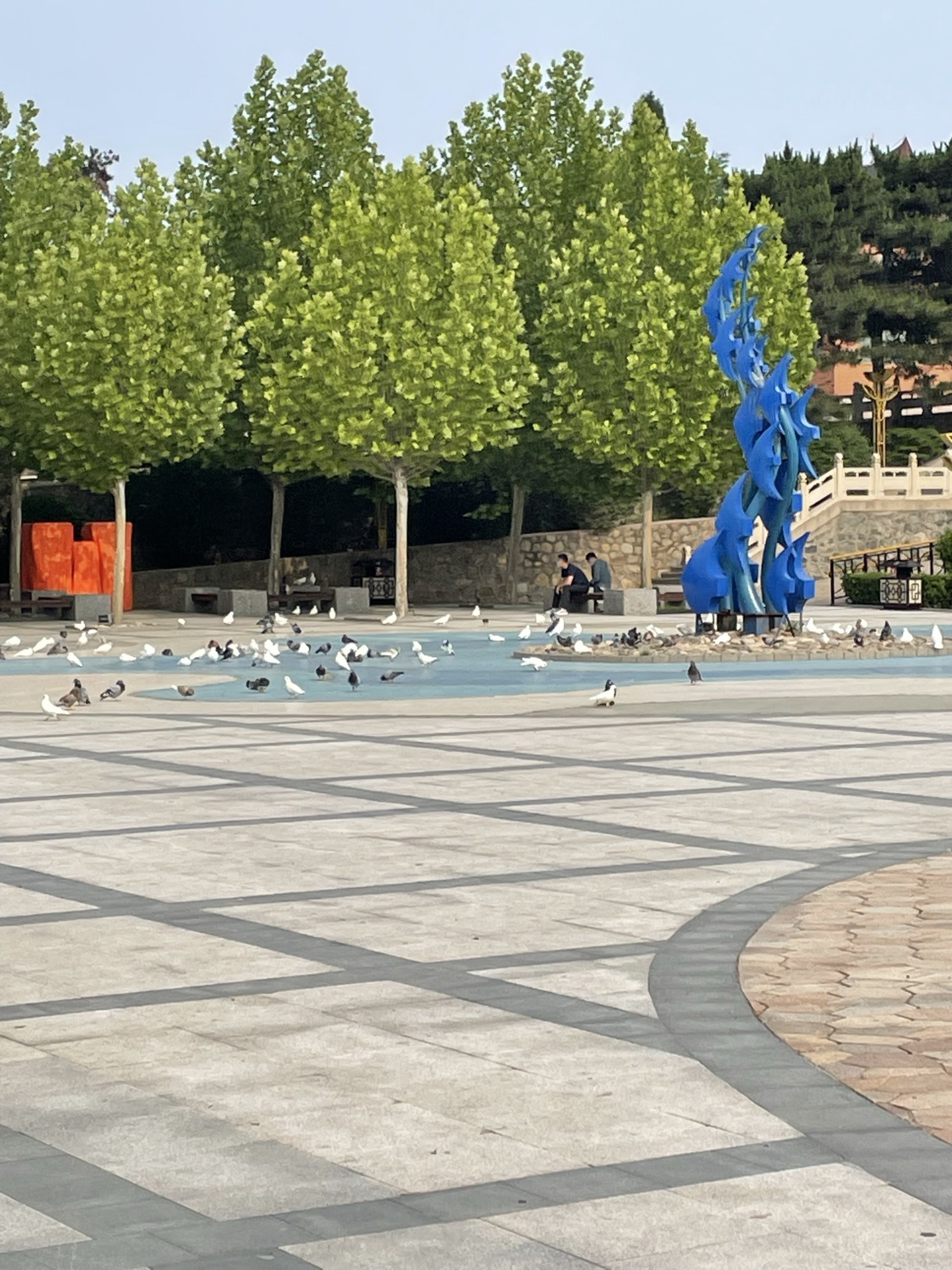 鸽子窝公园旅行图片 1