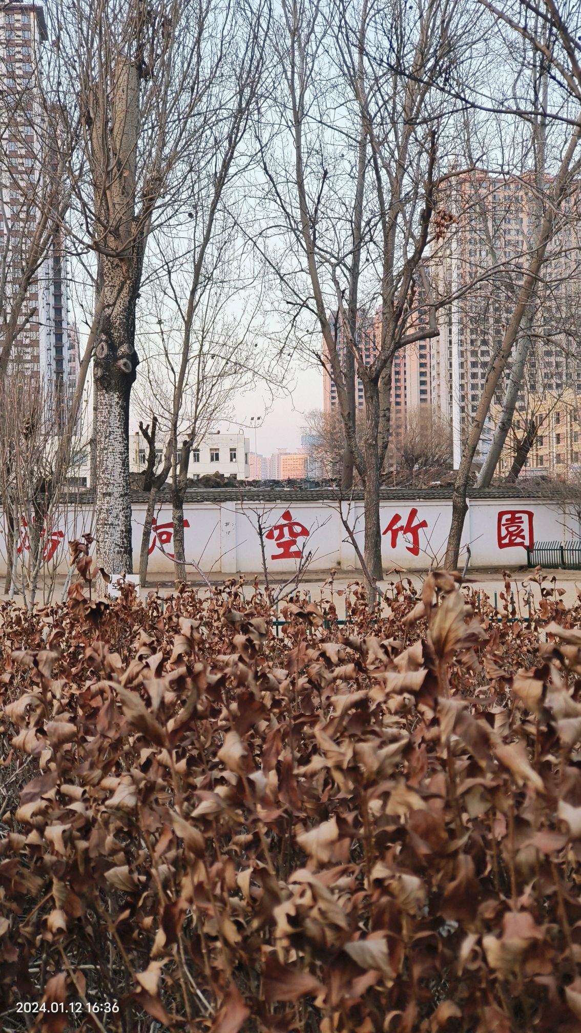 汤河公园旅行图片 2