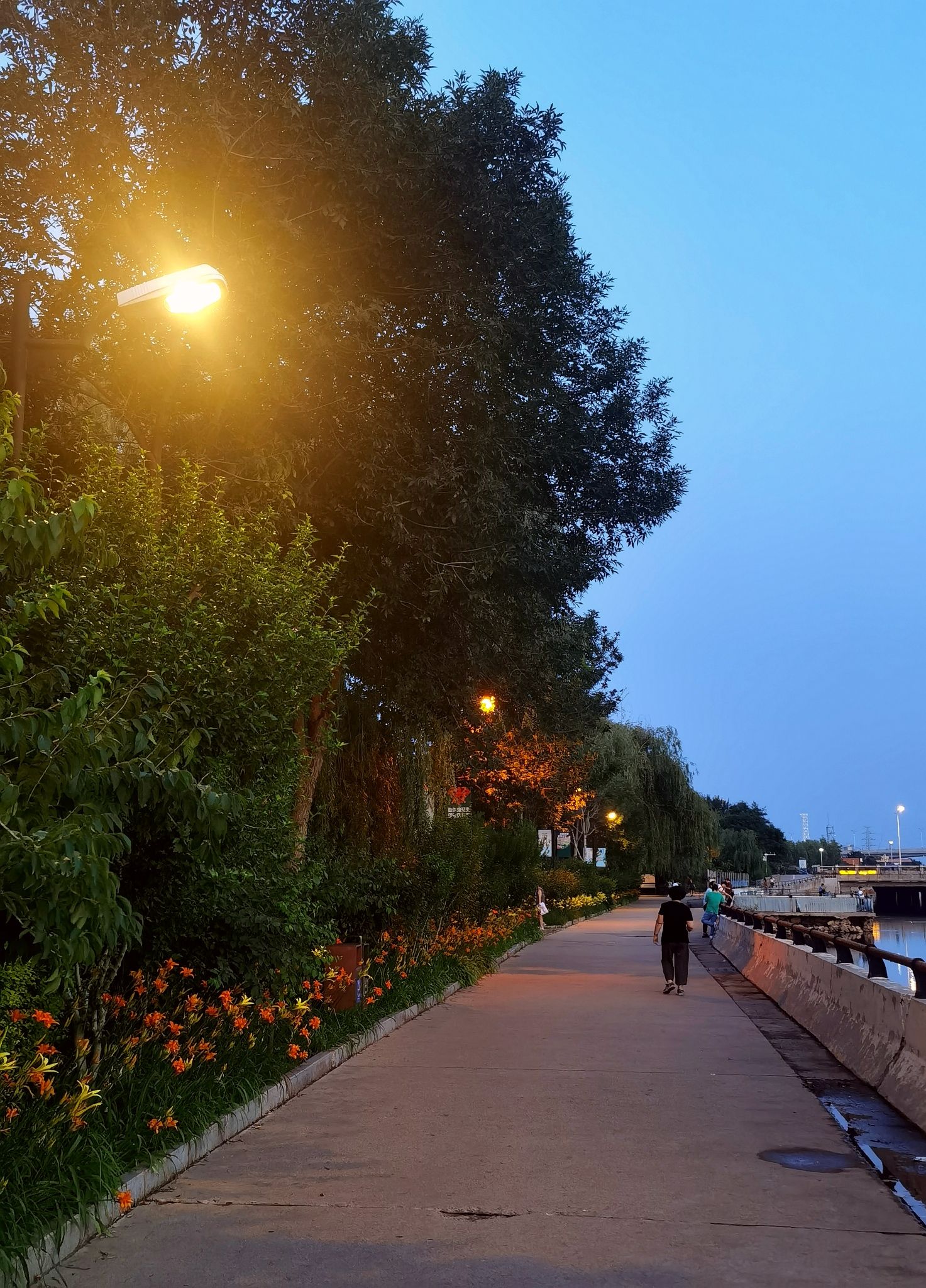 汤河公园旅行图片 1