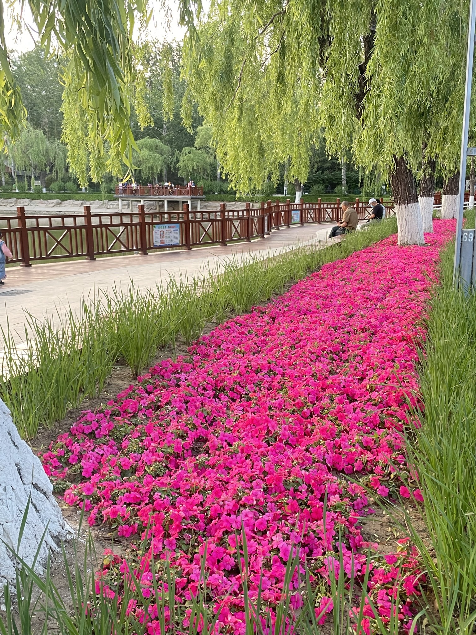 人民公园旅行图片 1
