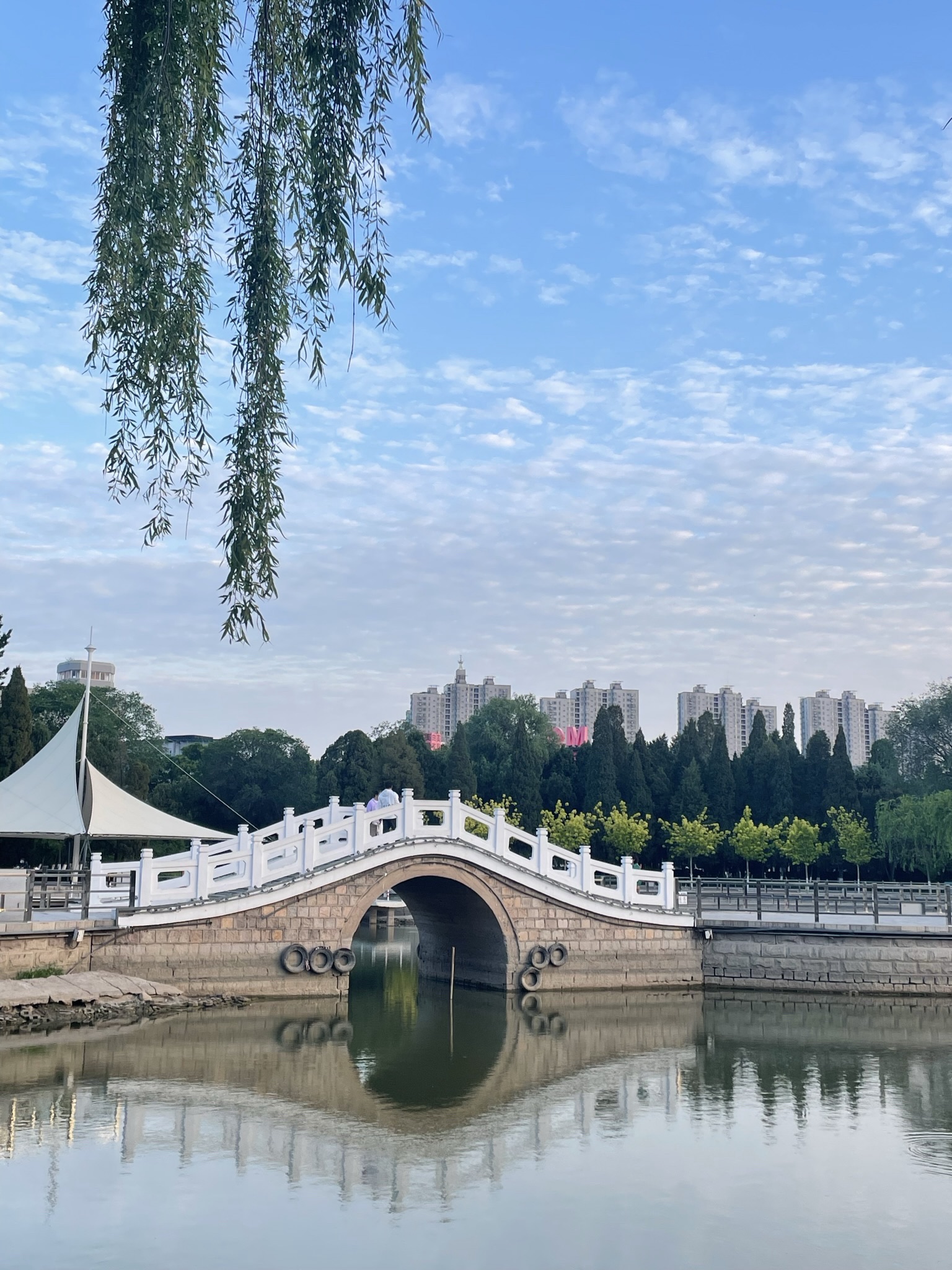 人民公园旅行图片 2