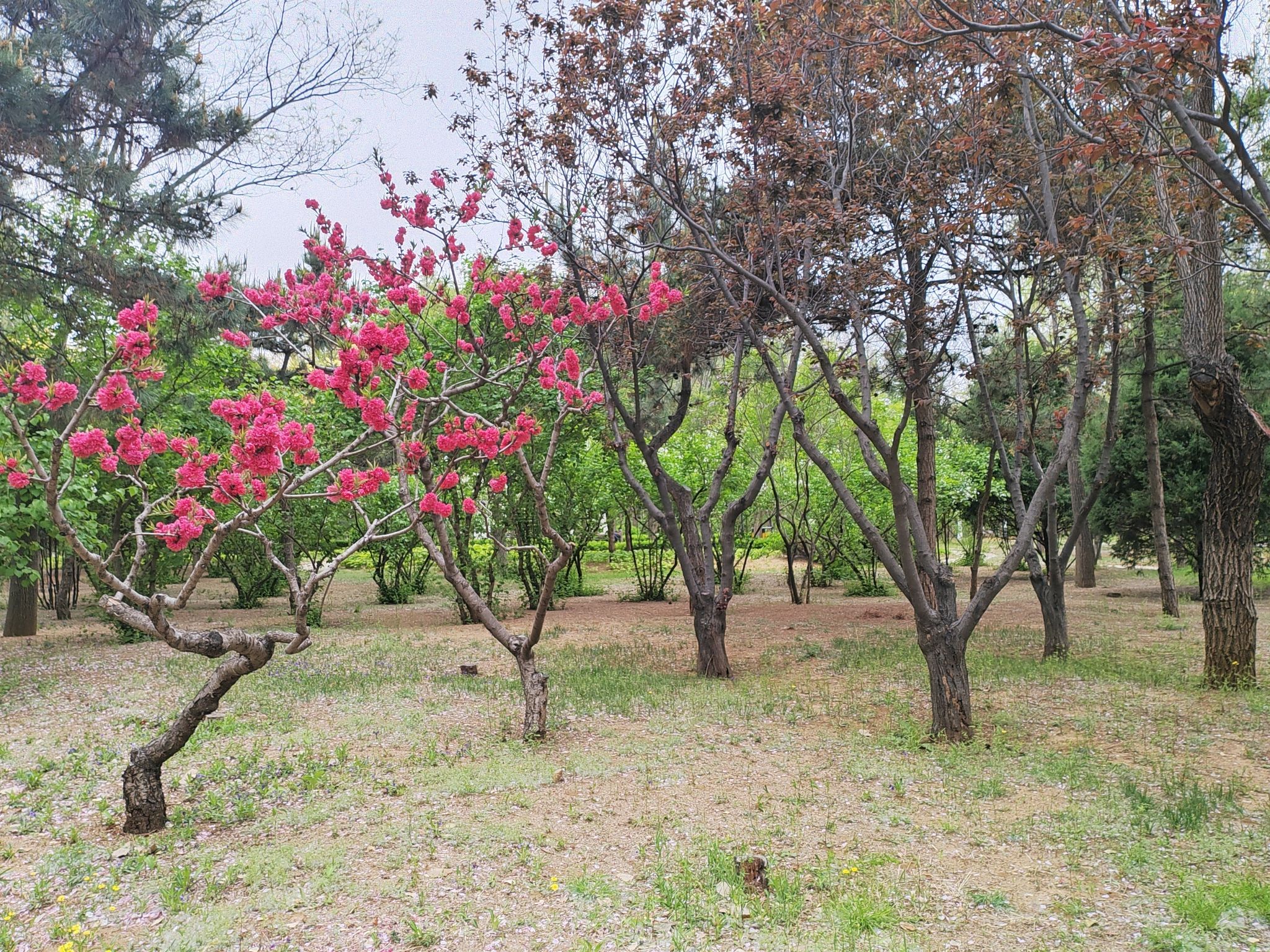 秦皇岛森林体育公园