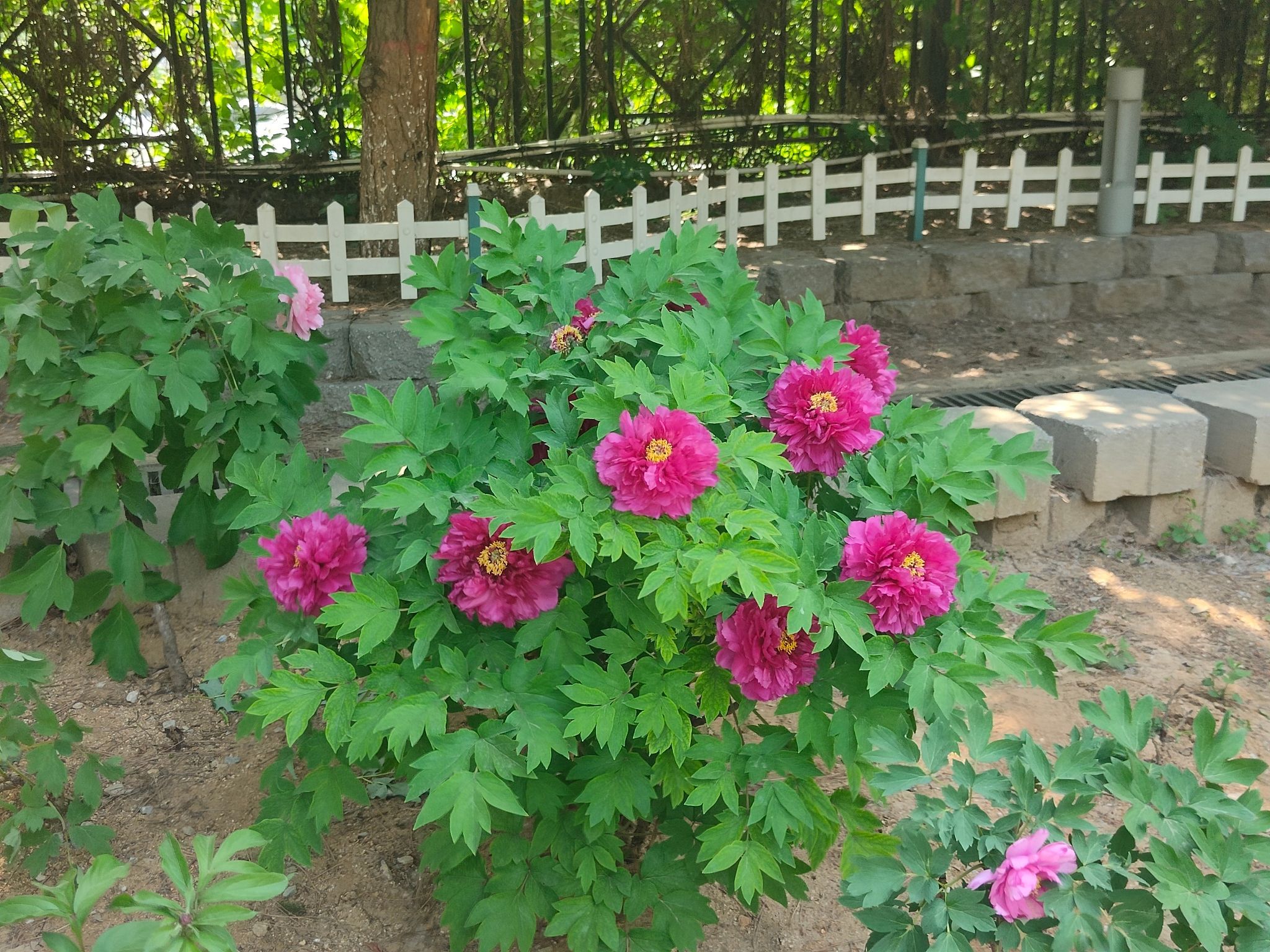 秦皇岛森林体育公园旅行图片 2