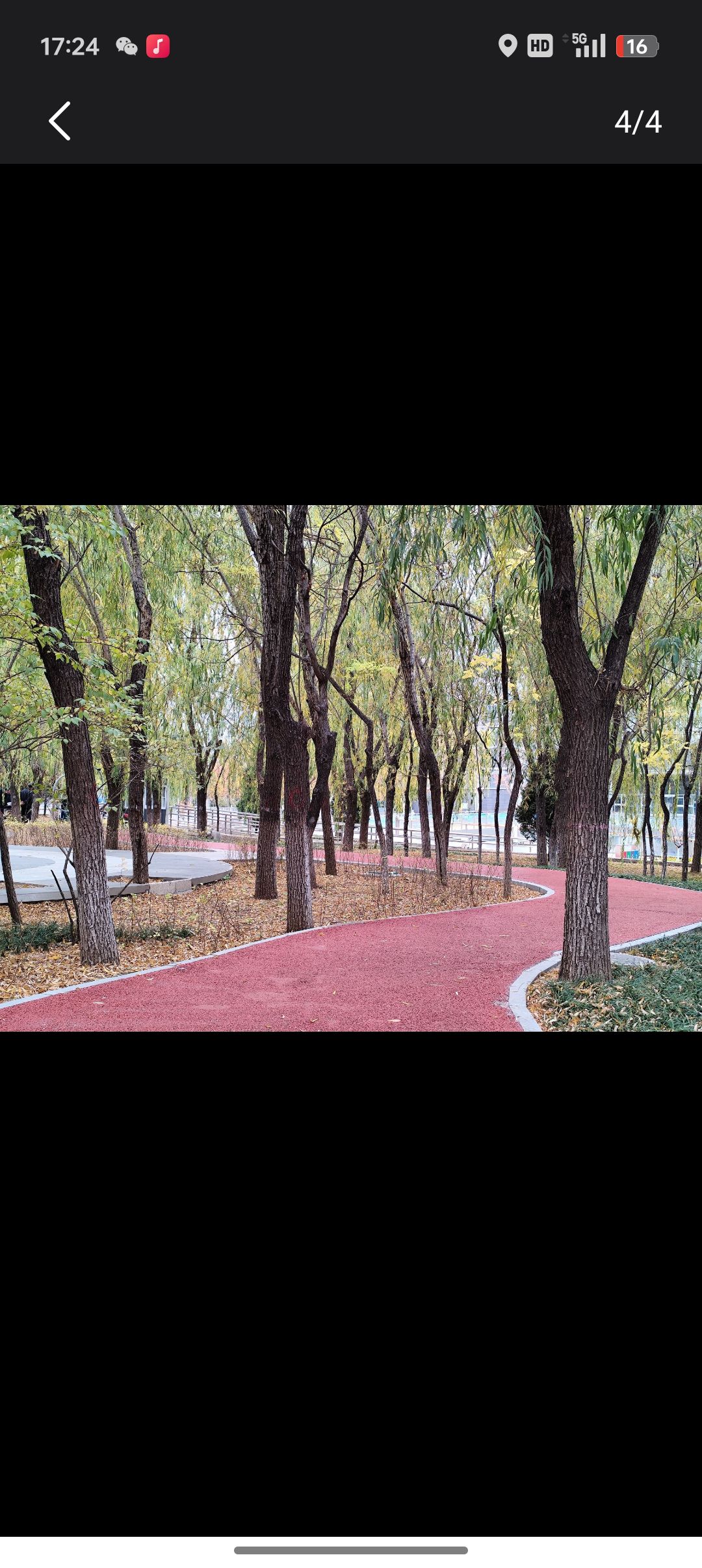 秦皇岛森林体育公园旅行图片 1