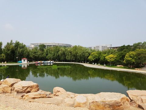 秦皇岛森林体育公园旅行图片 3
