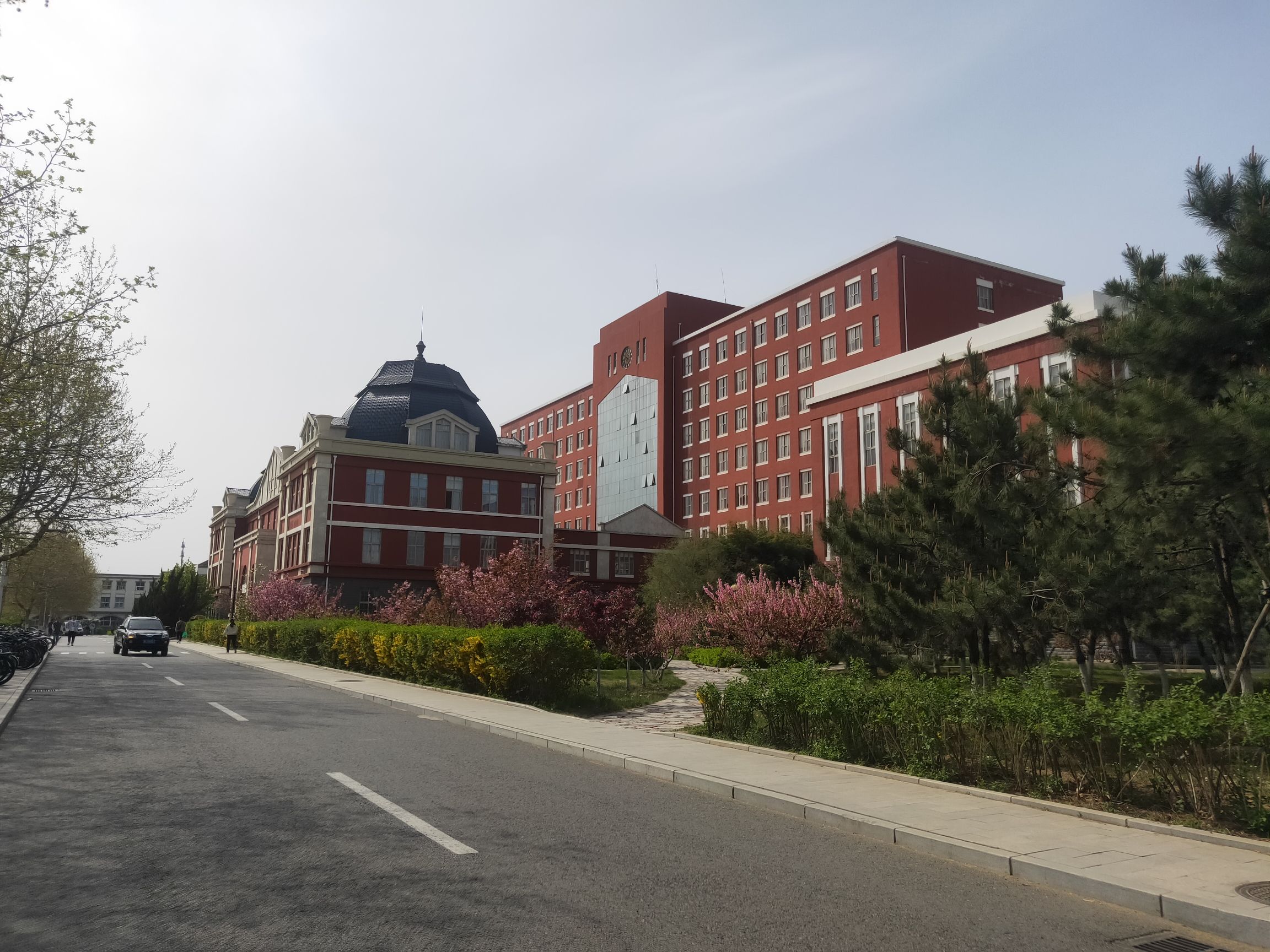 东北大学秦皇岛分校