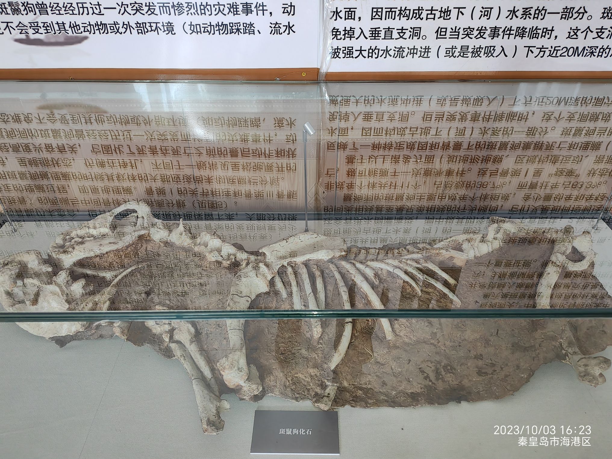 板厂峪长城公园旅行图片 2