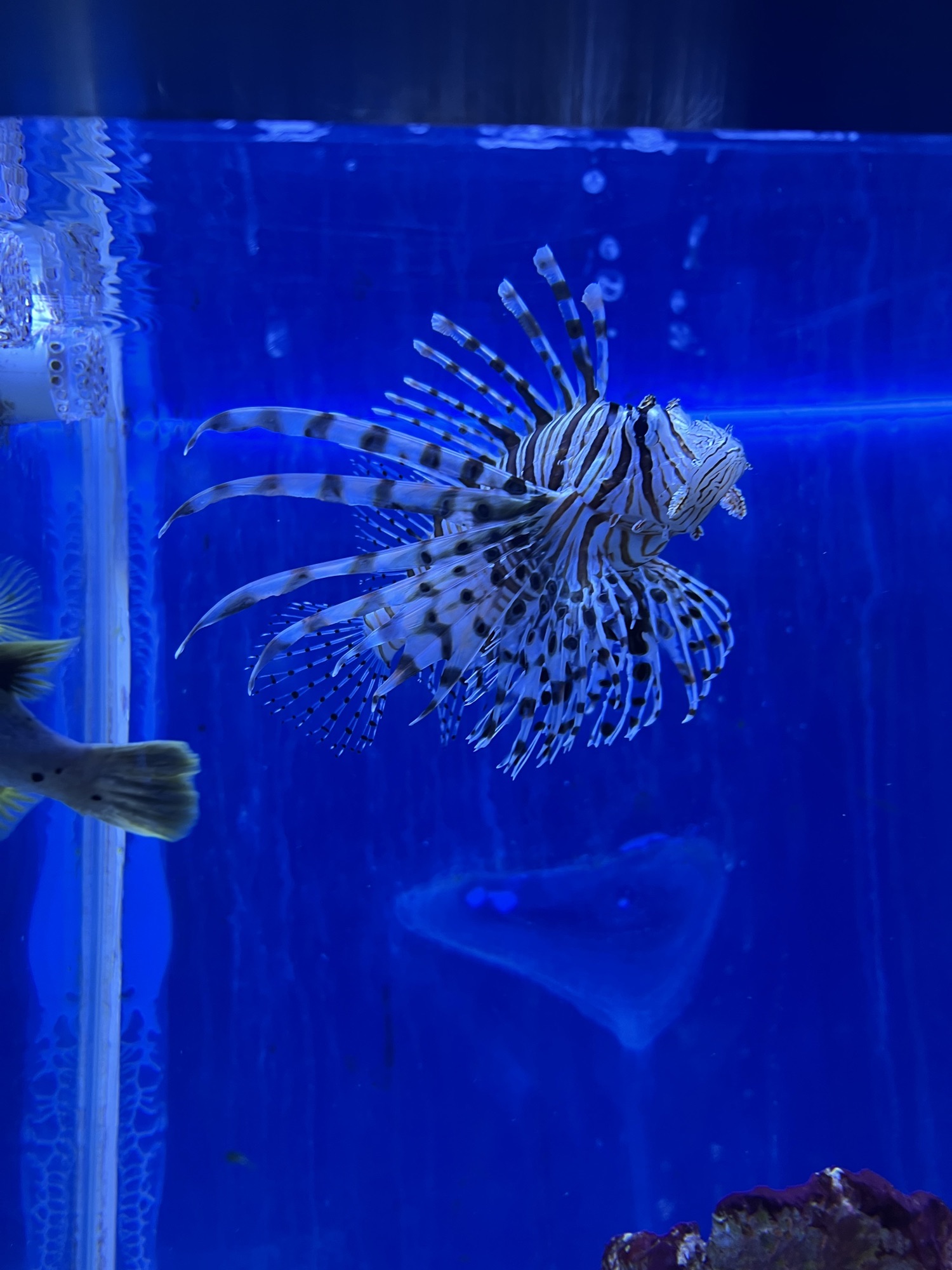 秦皇岛新澳海底世界旅行图片 2