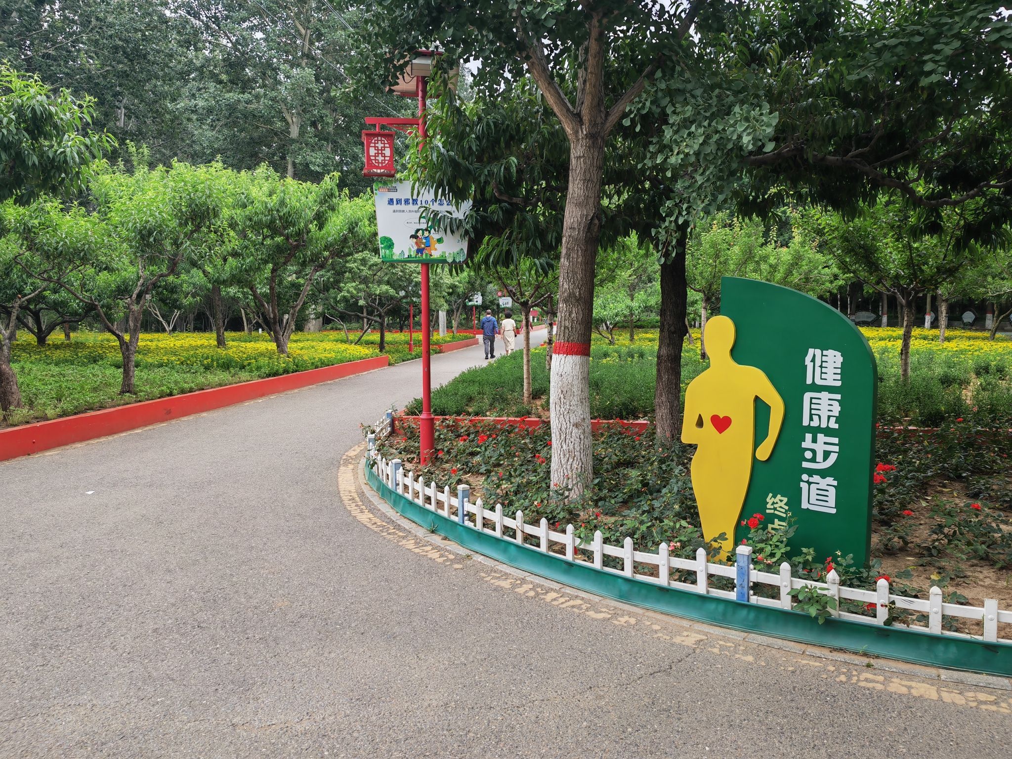 秦皇植物园旅行图片 2