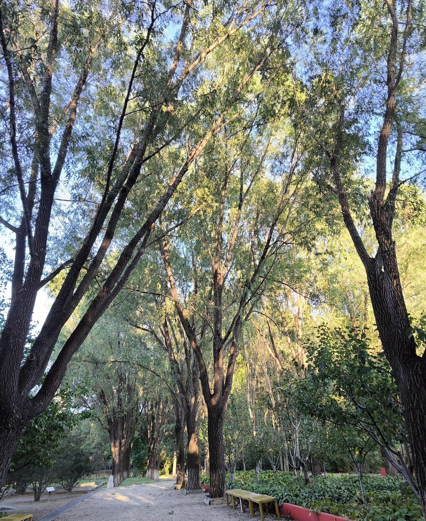 秦皇植物园旅行图片 1