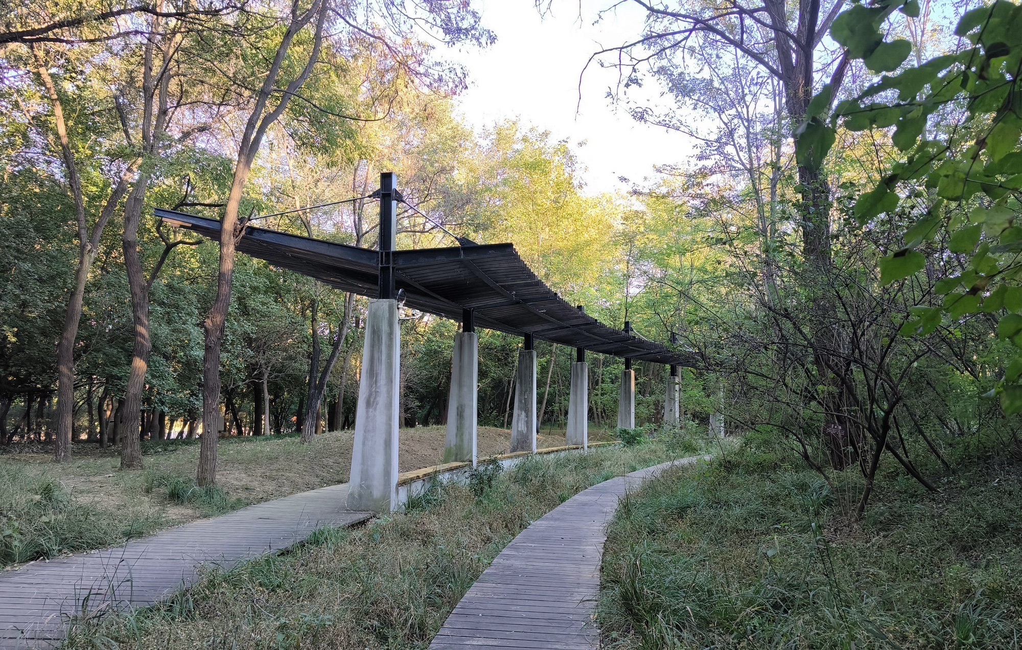 秦皇植物园旅行图片 3