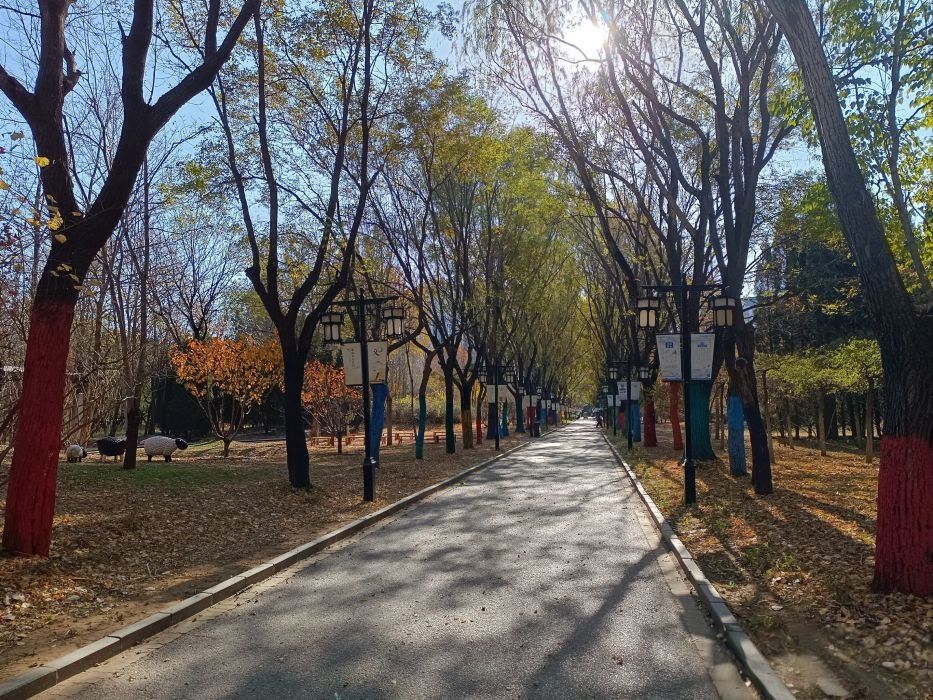 秦皇植物园旅行图片 3