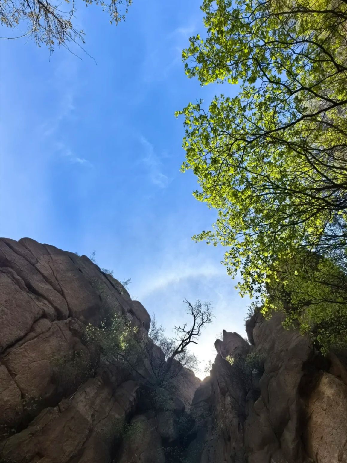 祖山风景区旅行图片 3