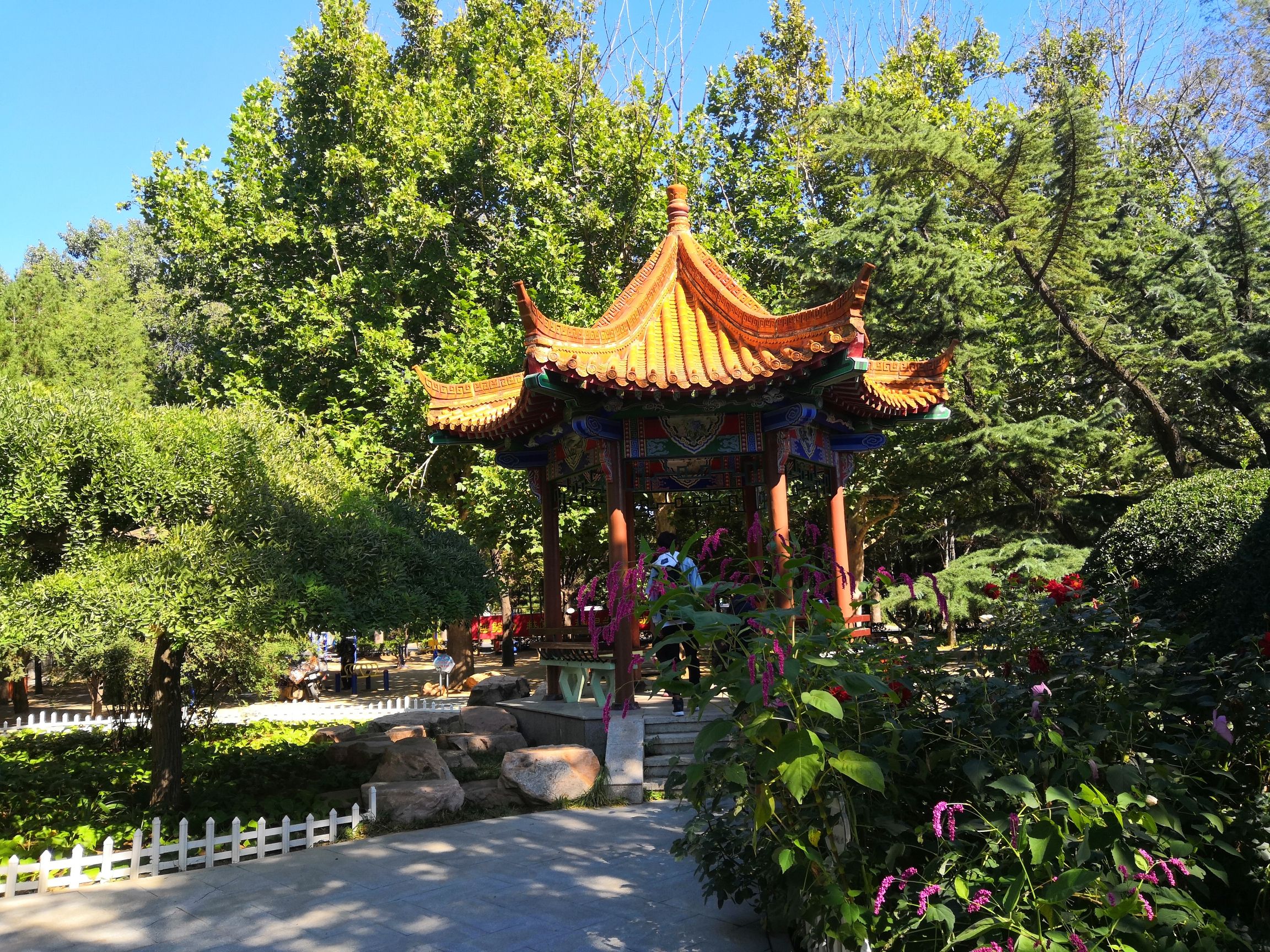 碣石园旅行图片 2
