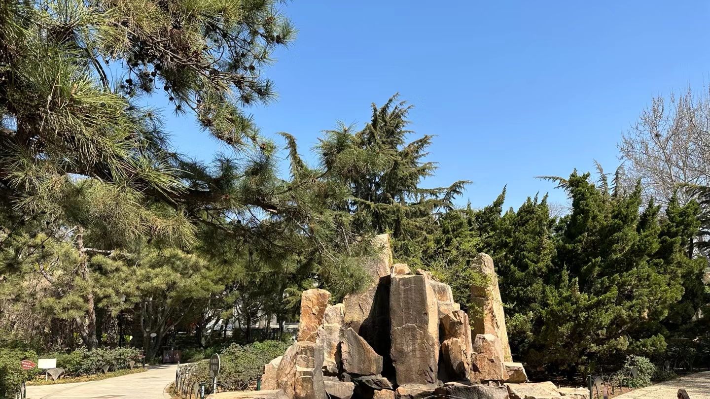 碣石园旅行图片 3