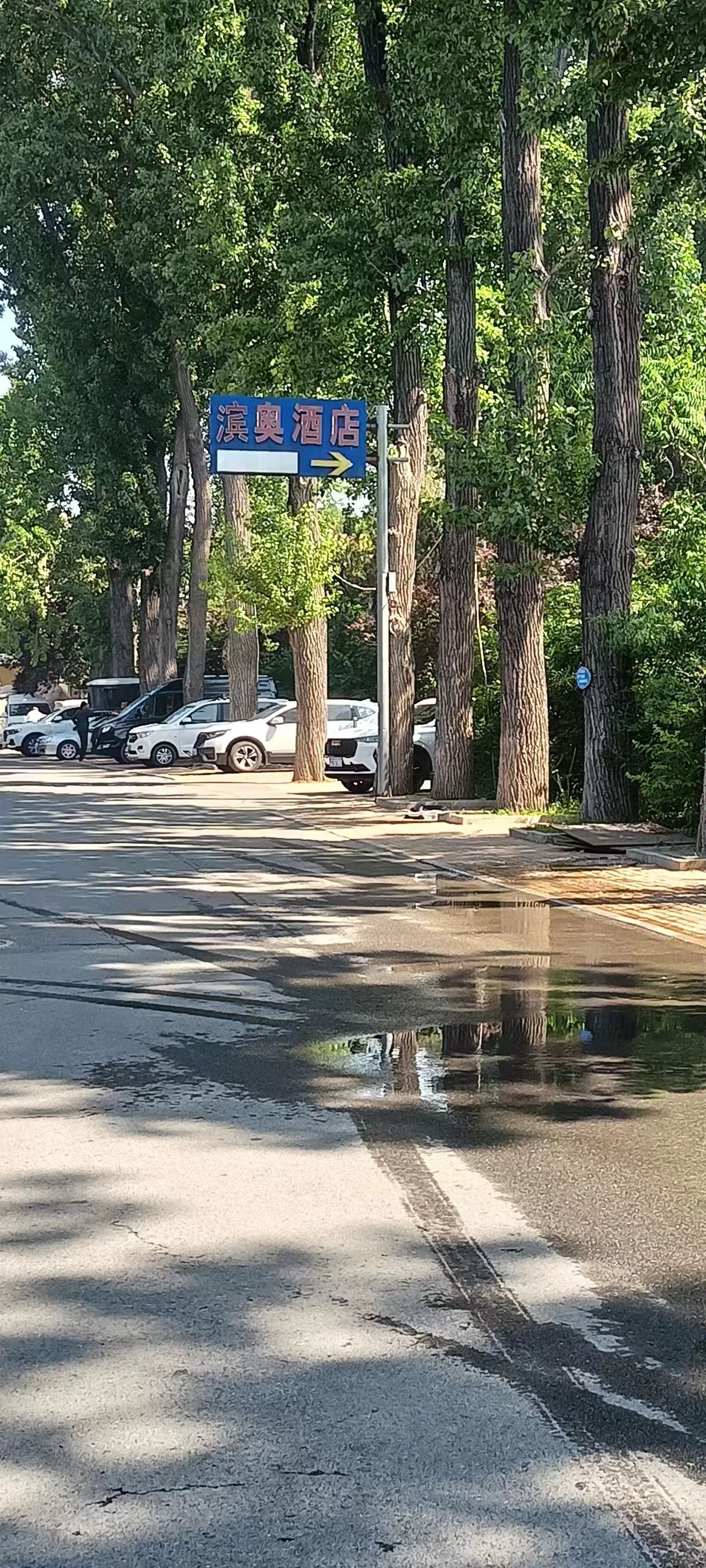 碣石园旅行图片 2