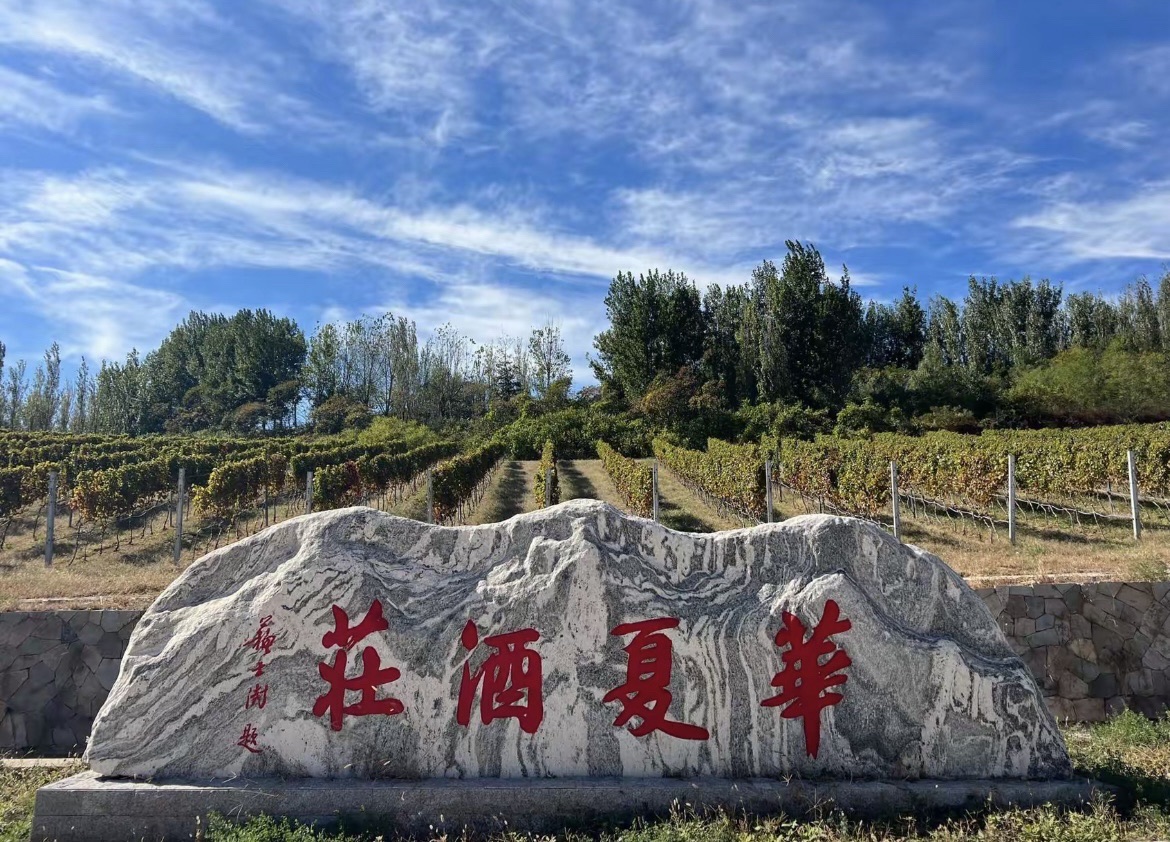 华夏庄园(酒庄)旅行图片 1
