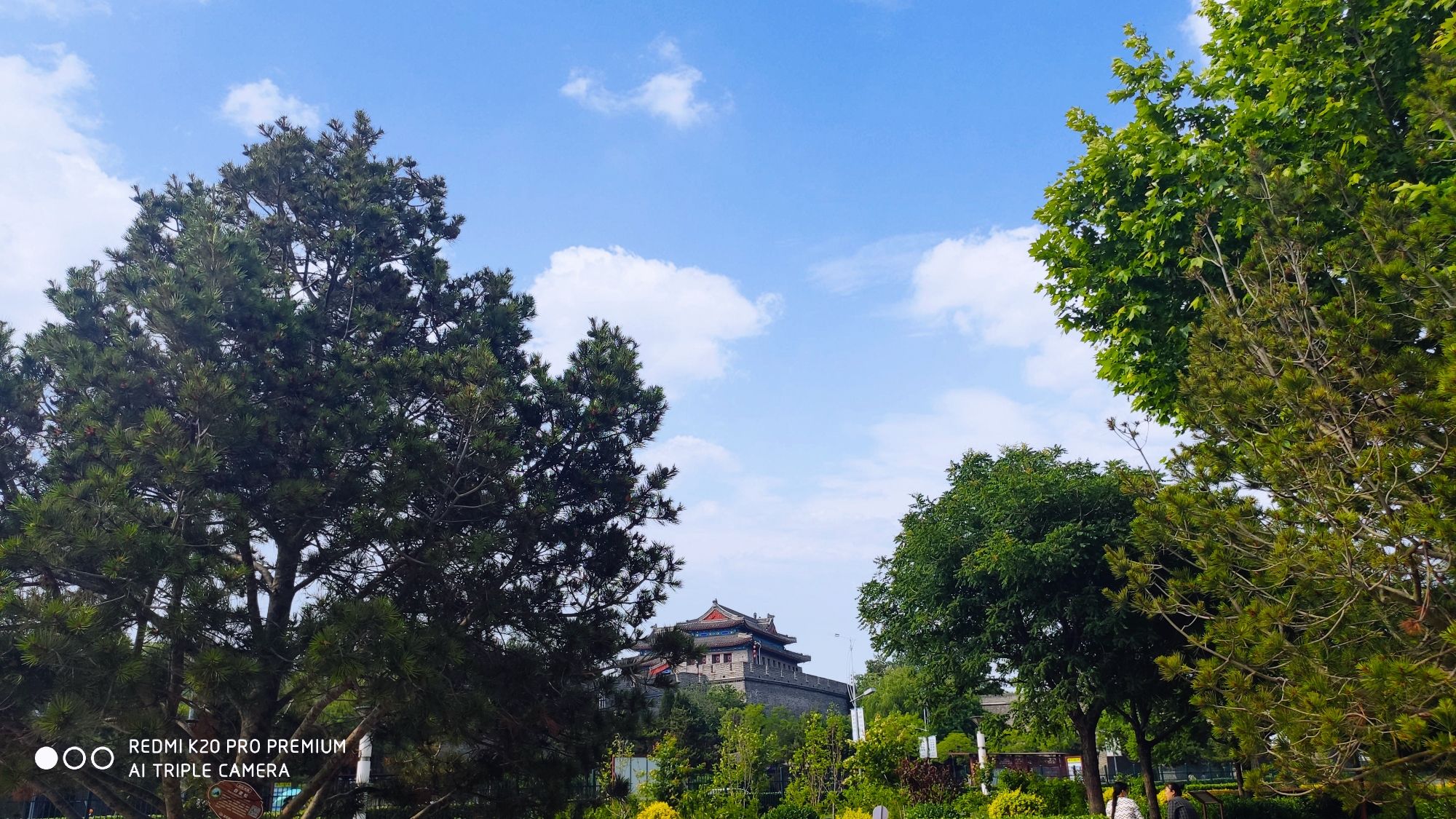 莲花湖公园旅行图片 2