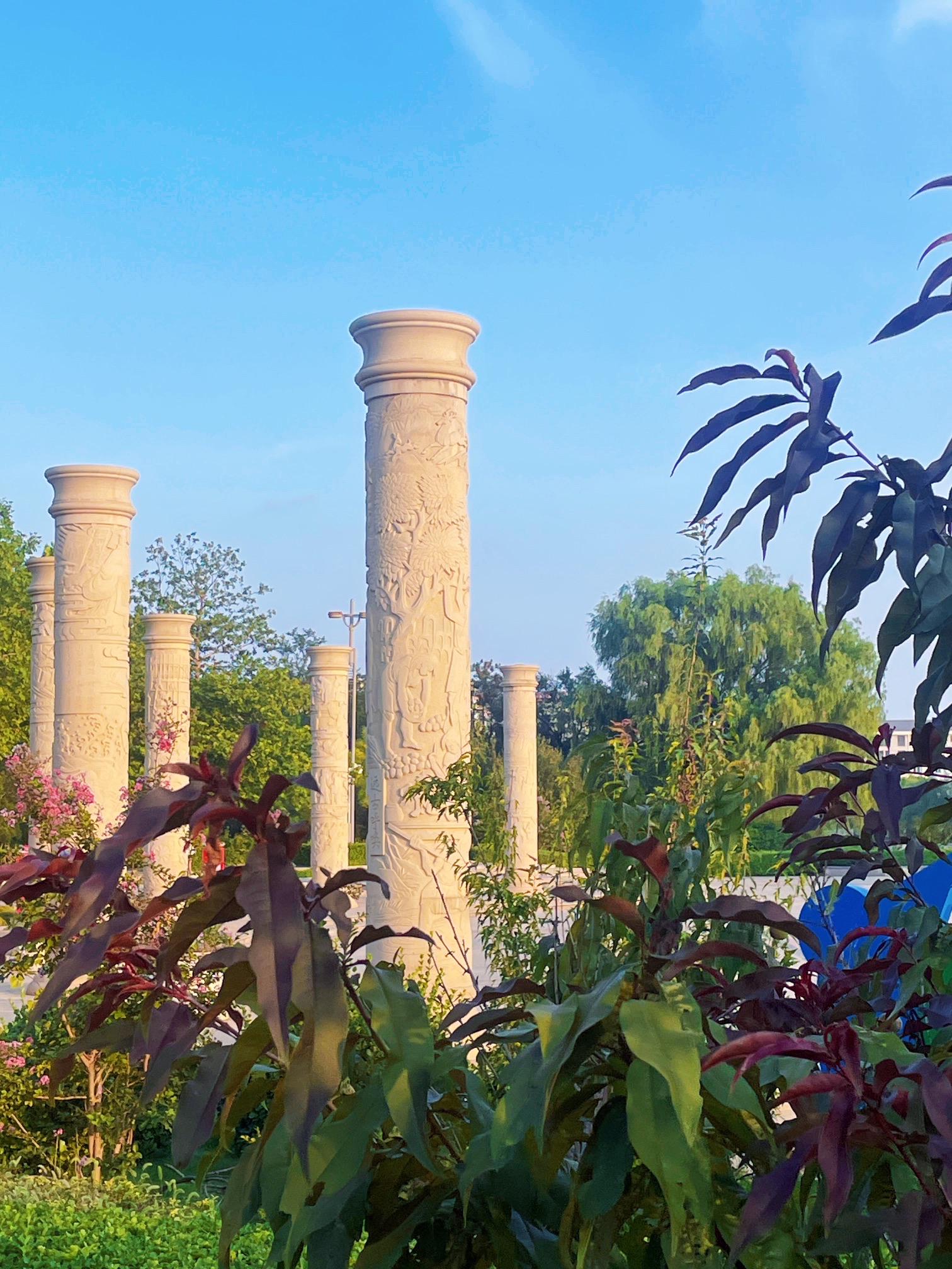 莲花湖公园旅行图片 1