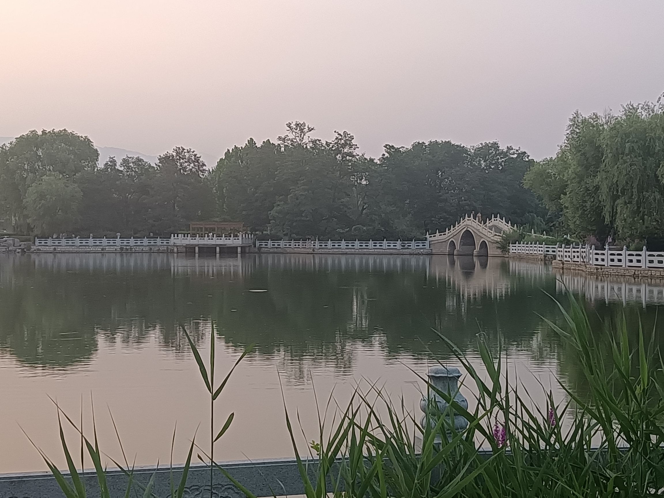 莲花湖公园旅行图片 2