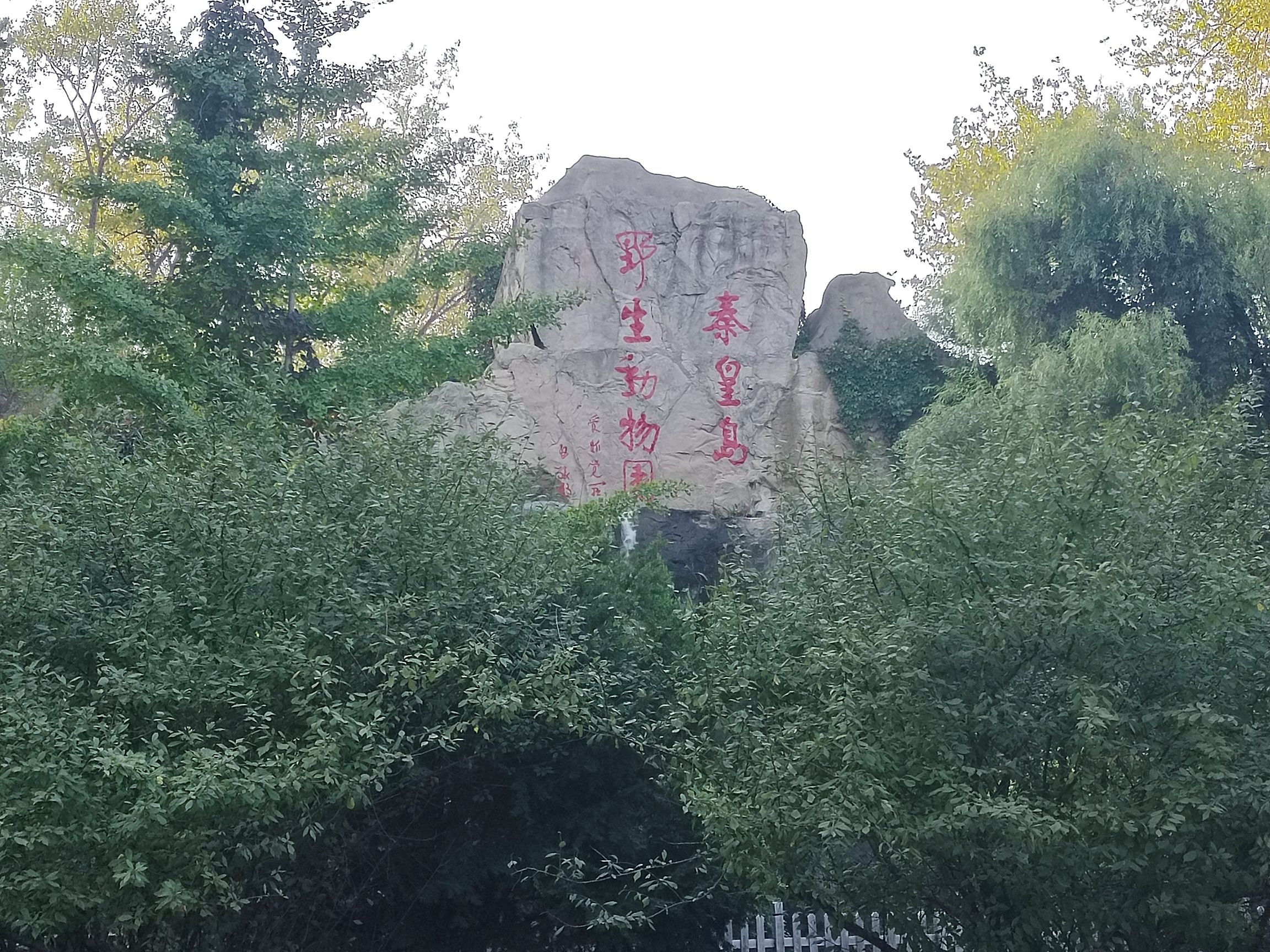秦皇岛野生动物园东南门售票处