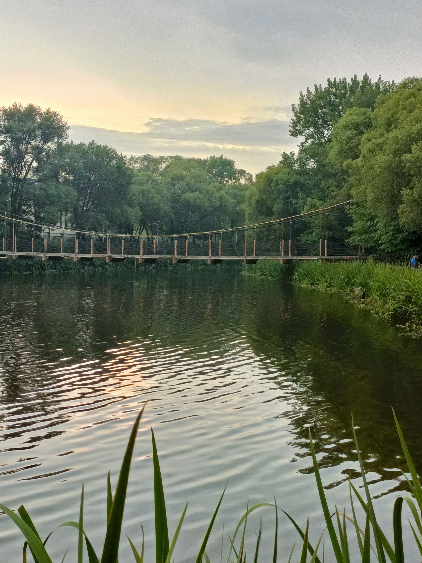 金海湾森林公园旅行图片 1