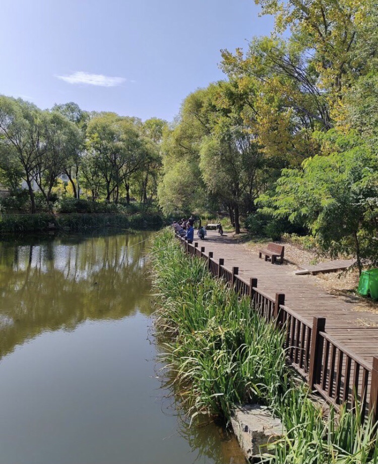 金海湾森林公园旅行图片 3
