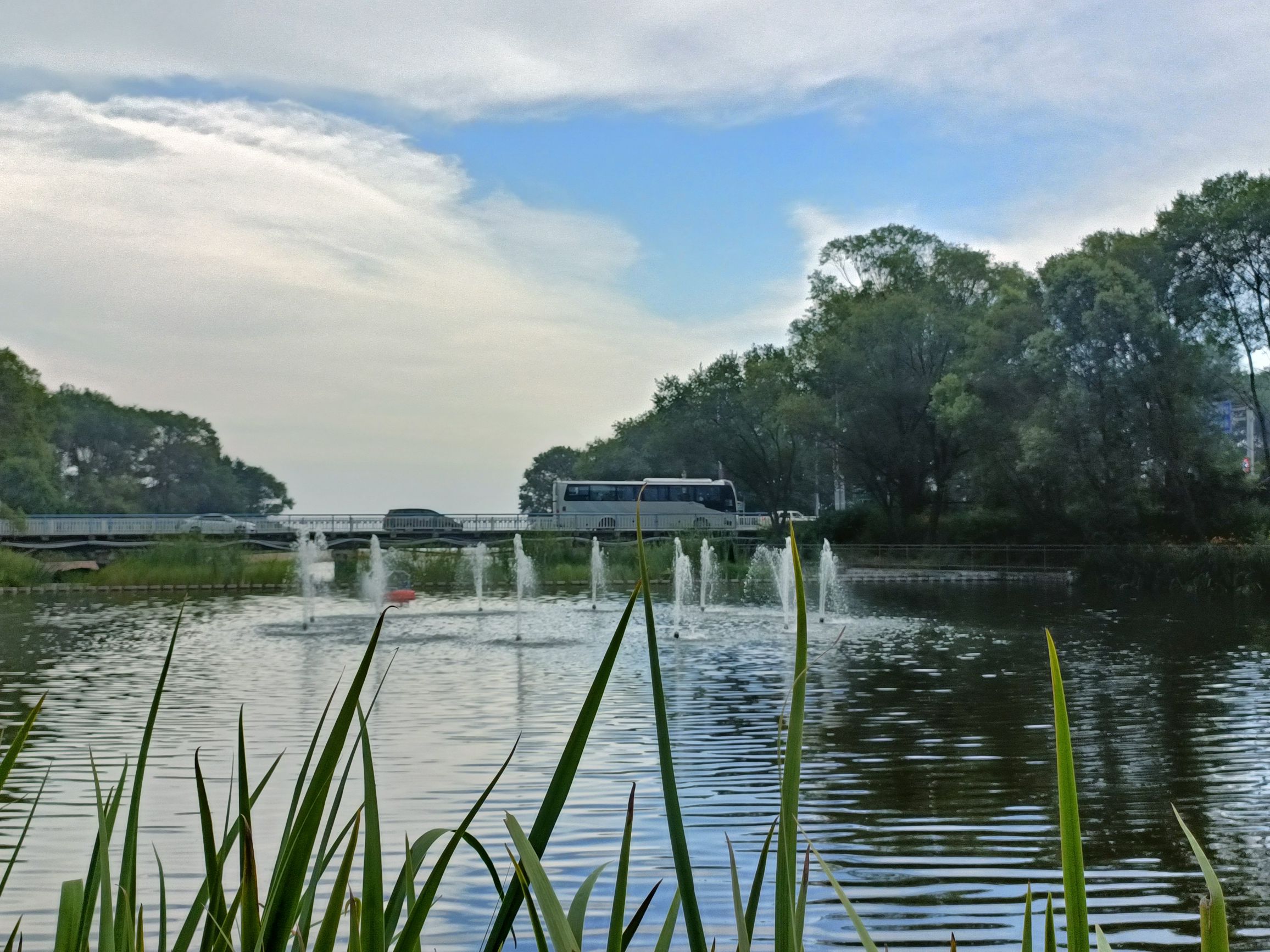 金海湾森林公园旅行图片 3