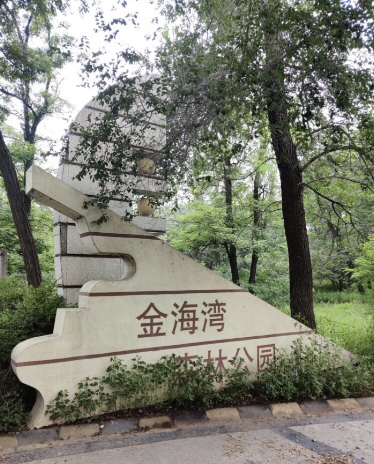 金海湾森林公园旅行图片 1