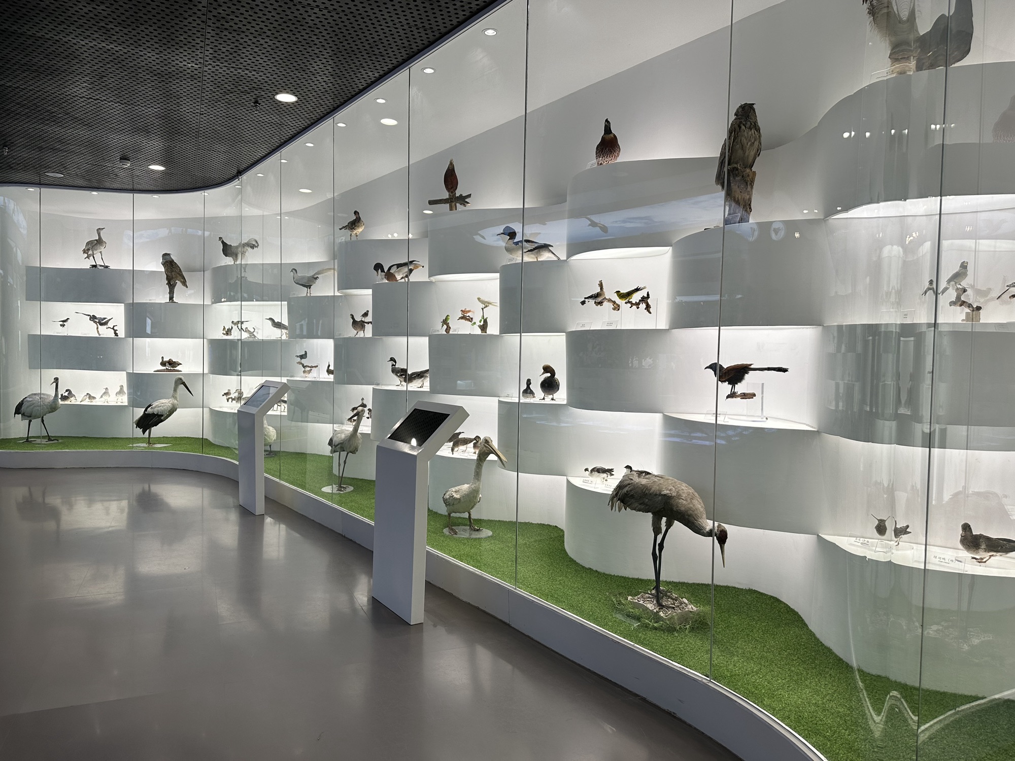 秦皇岛鸟类博物馆