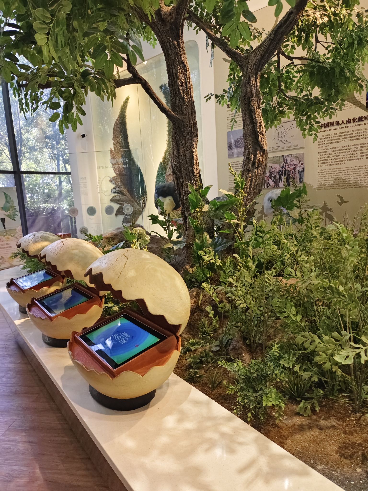 秦皇岛鸟类博物馆