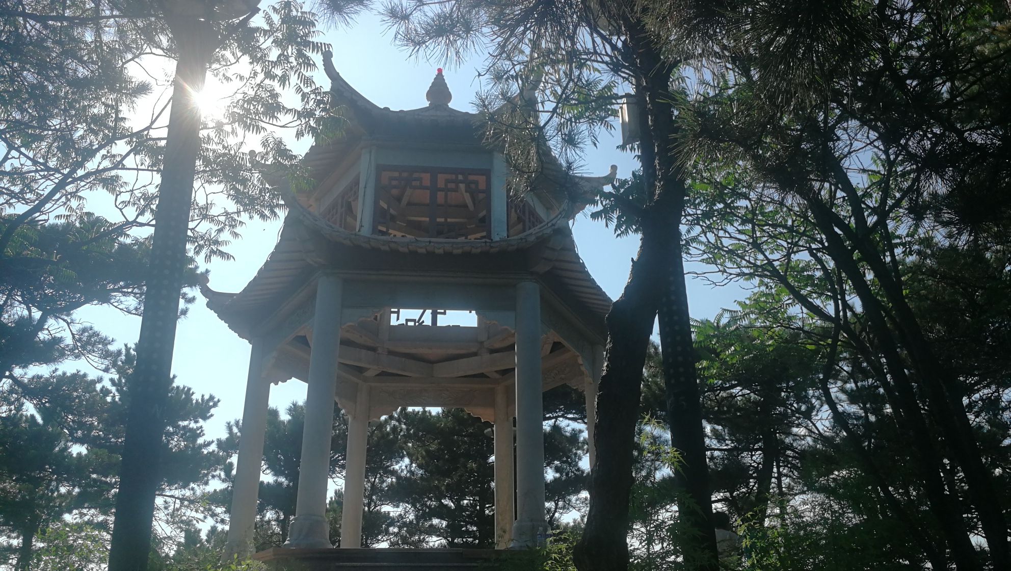南山生态观光园旅行图片 2