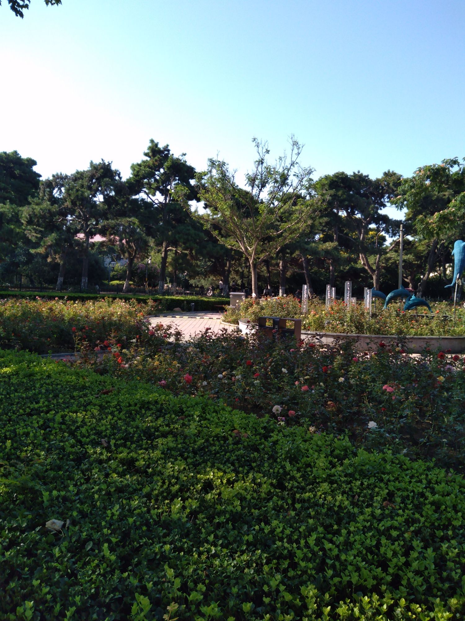月季园旅行图片 1