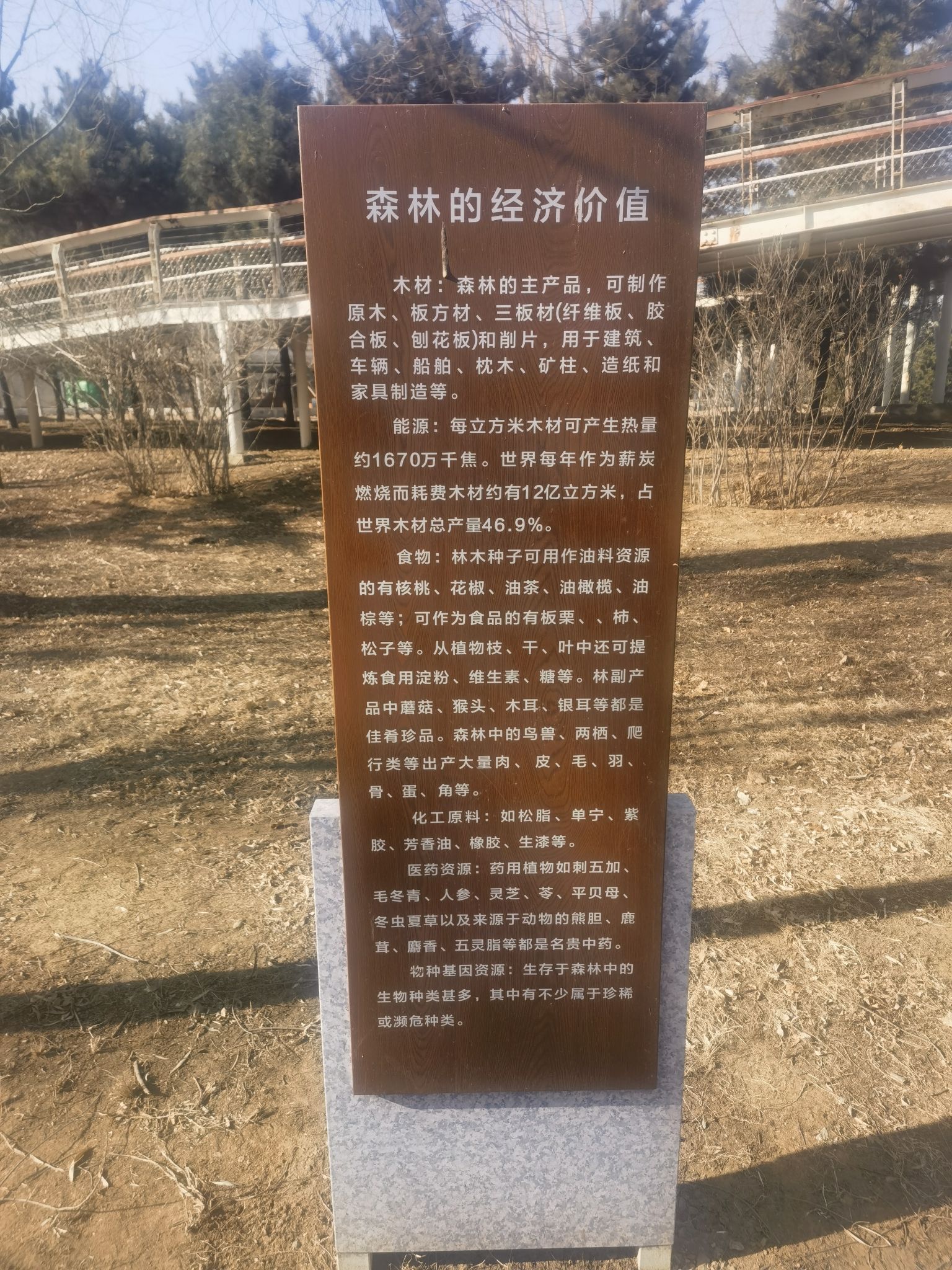 海滨国家森林公园旅行图片 1