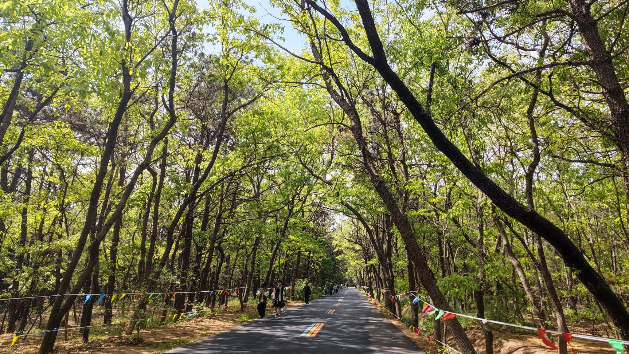 海滨国家森林公园