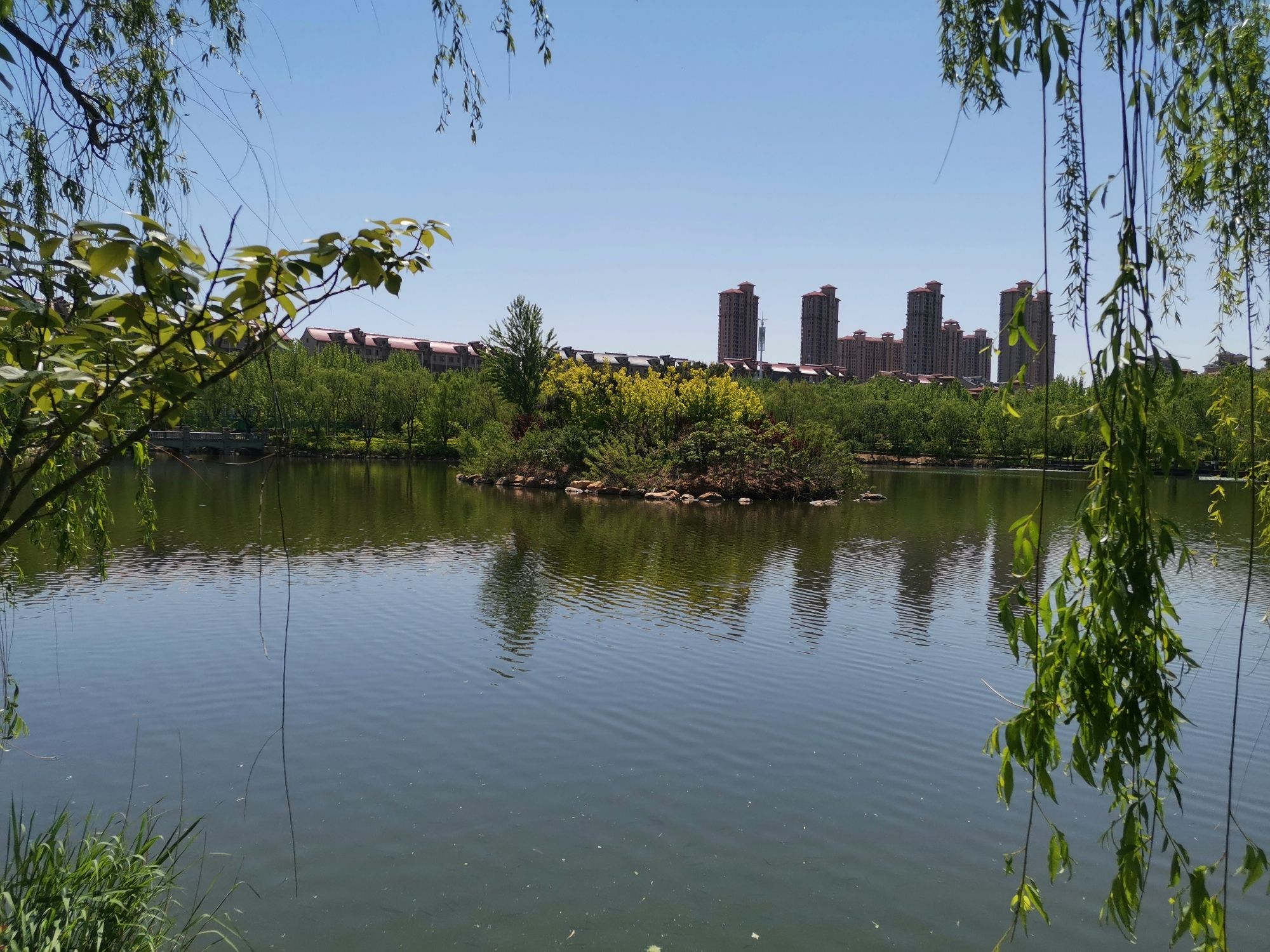 半岛公园旅行图片 2