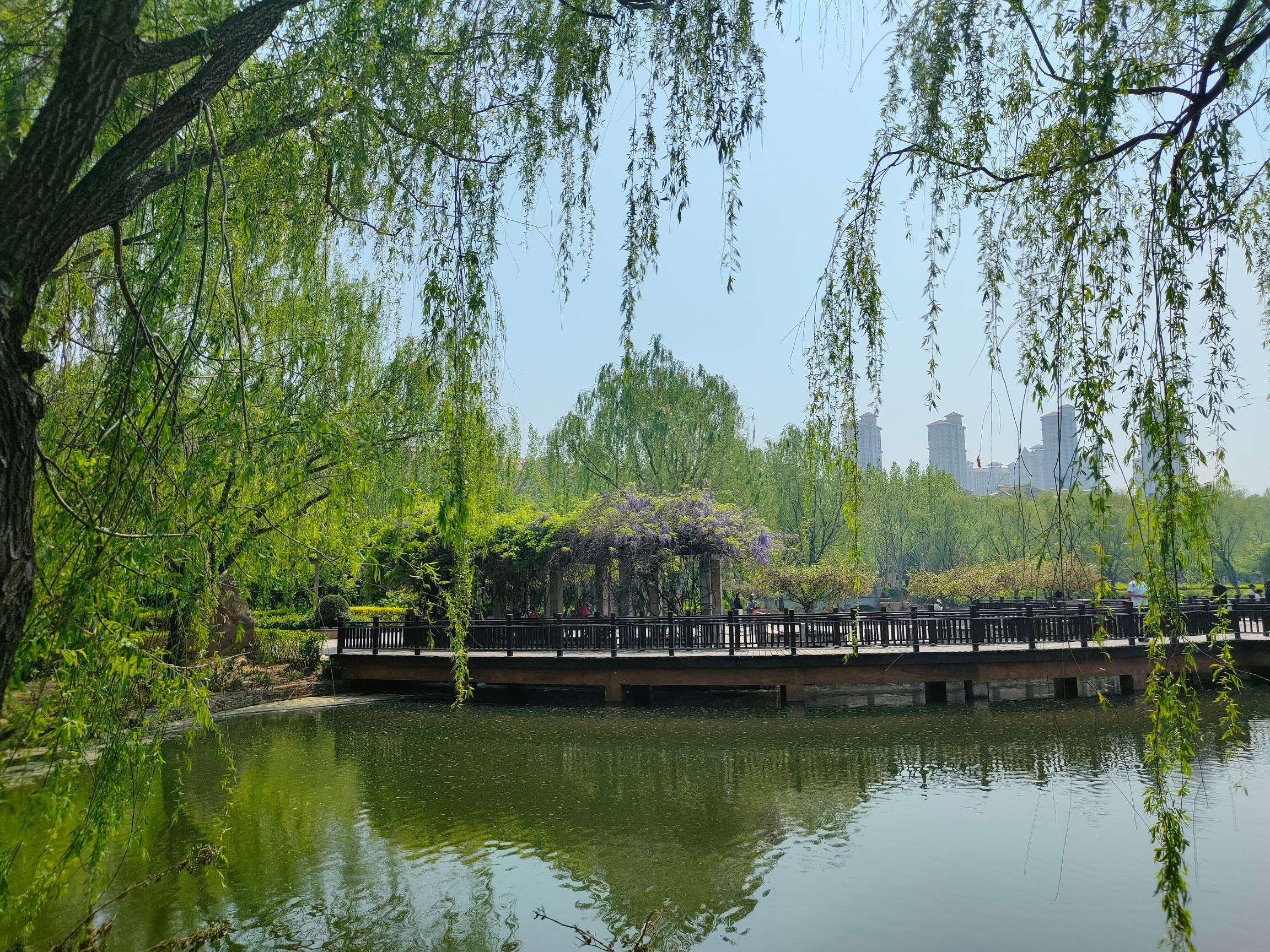 半岛公园旅行图片 1