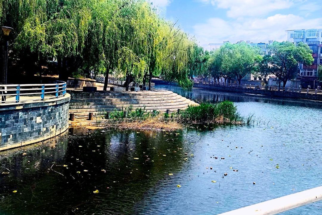 荷塘公园旅行图片 3