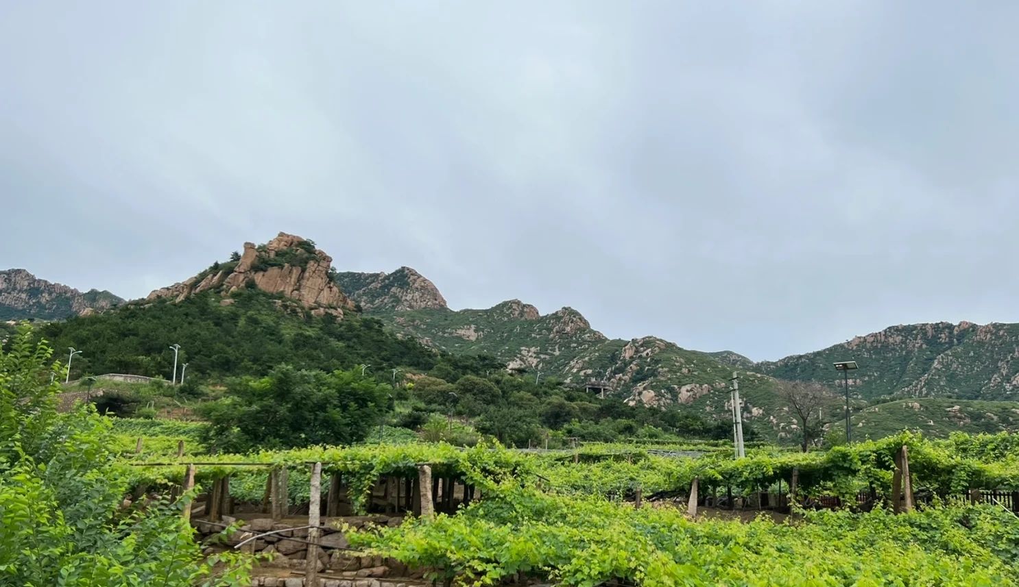 昌黎葡萄沟风景区旅行图片 2