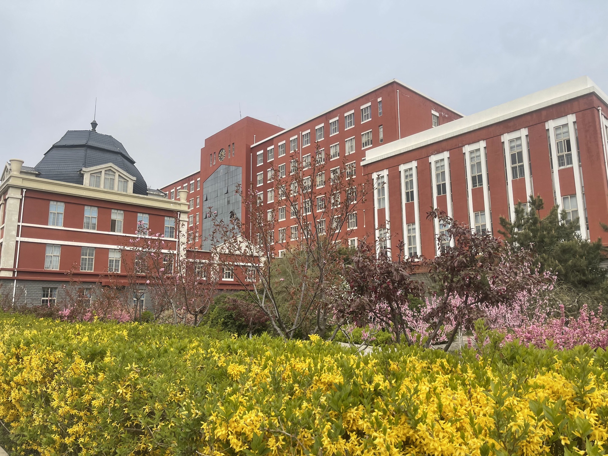 东北大学秦皇岛分校工学馆