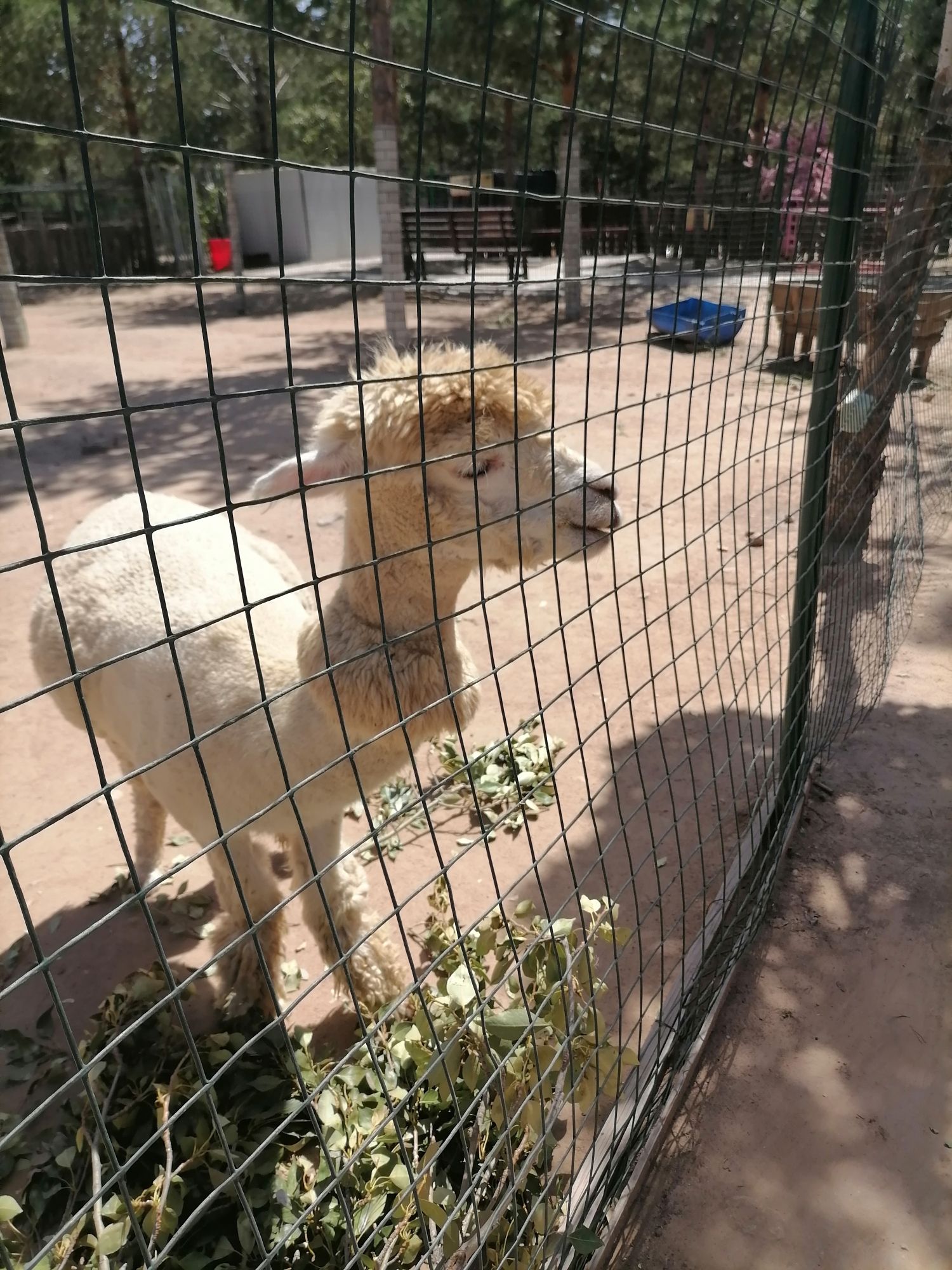 怀仁市金沙滩生态旅游区旅行图片 2