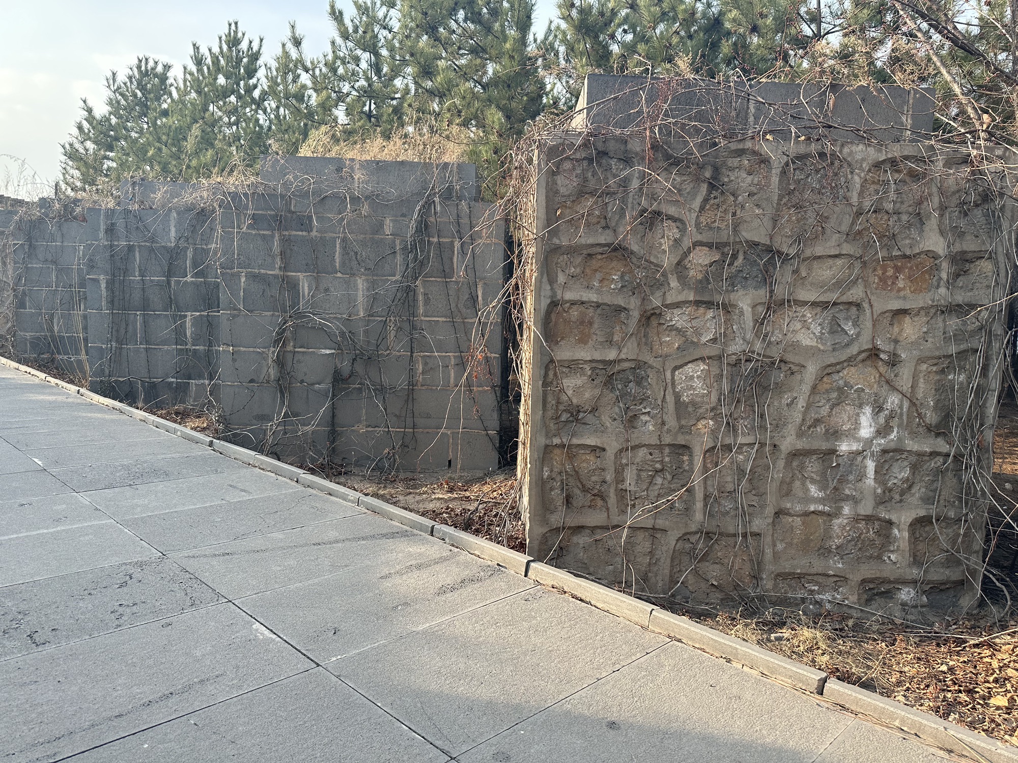 怀仁市金沙滩生态旅游区旅行图片 3