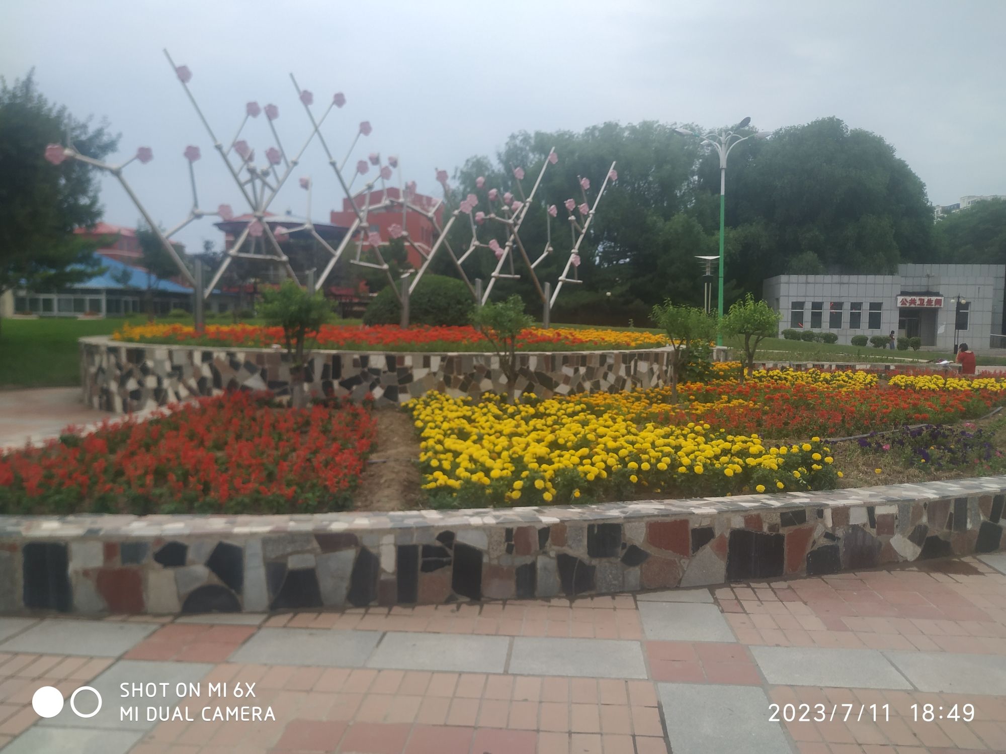 花卉广场旅行图片 1