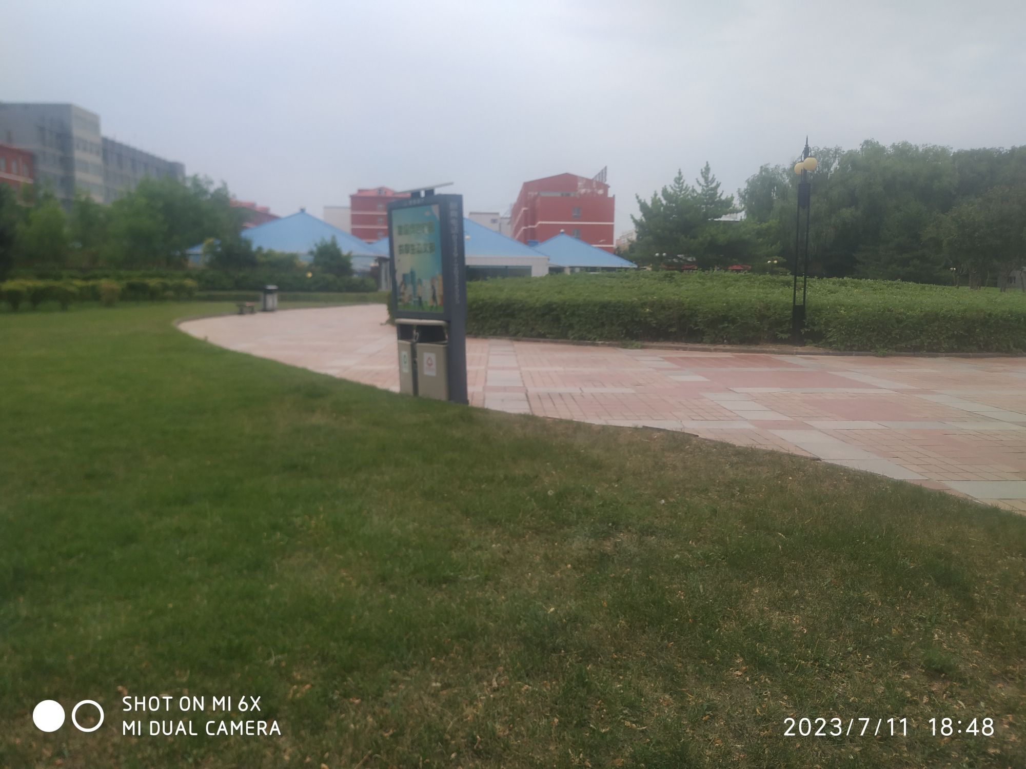 花卉广场旅行图片 2