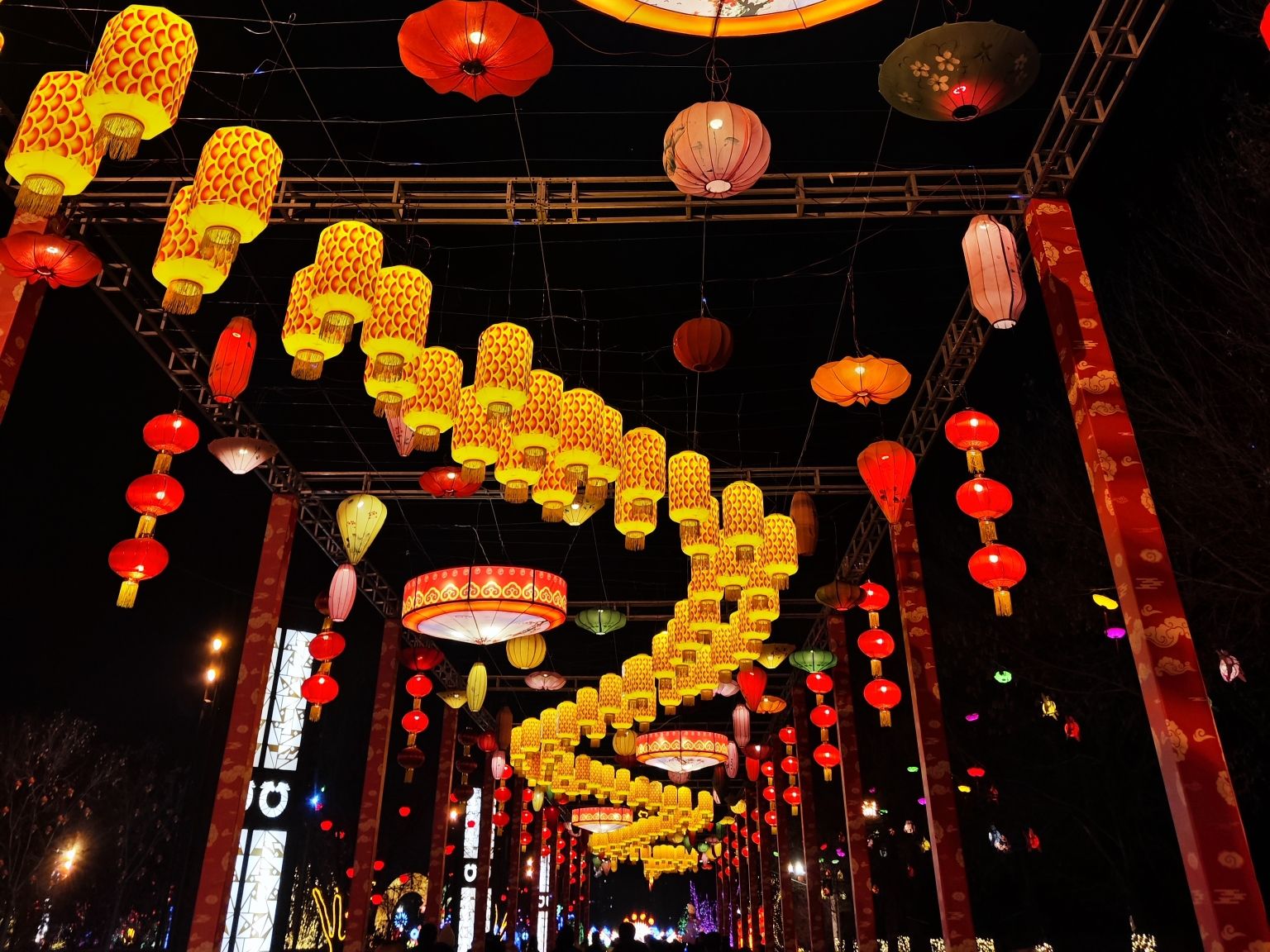 金沙植物园旅行图片 3
