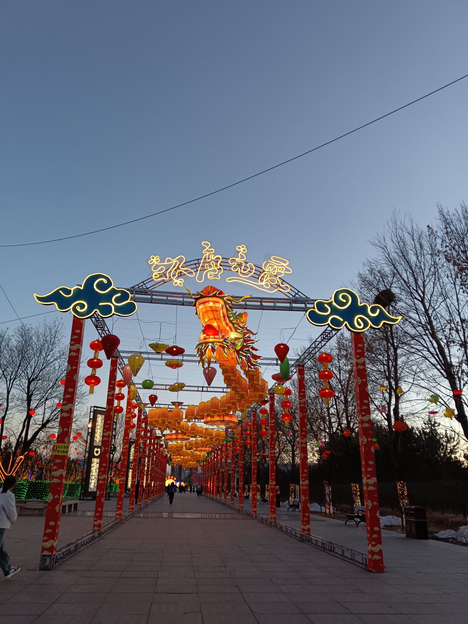 金沙植物园旅行图片 3