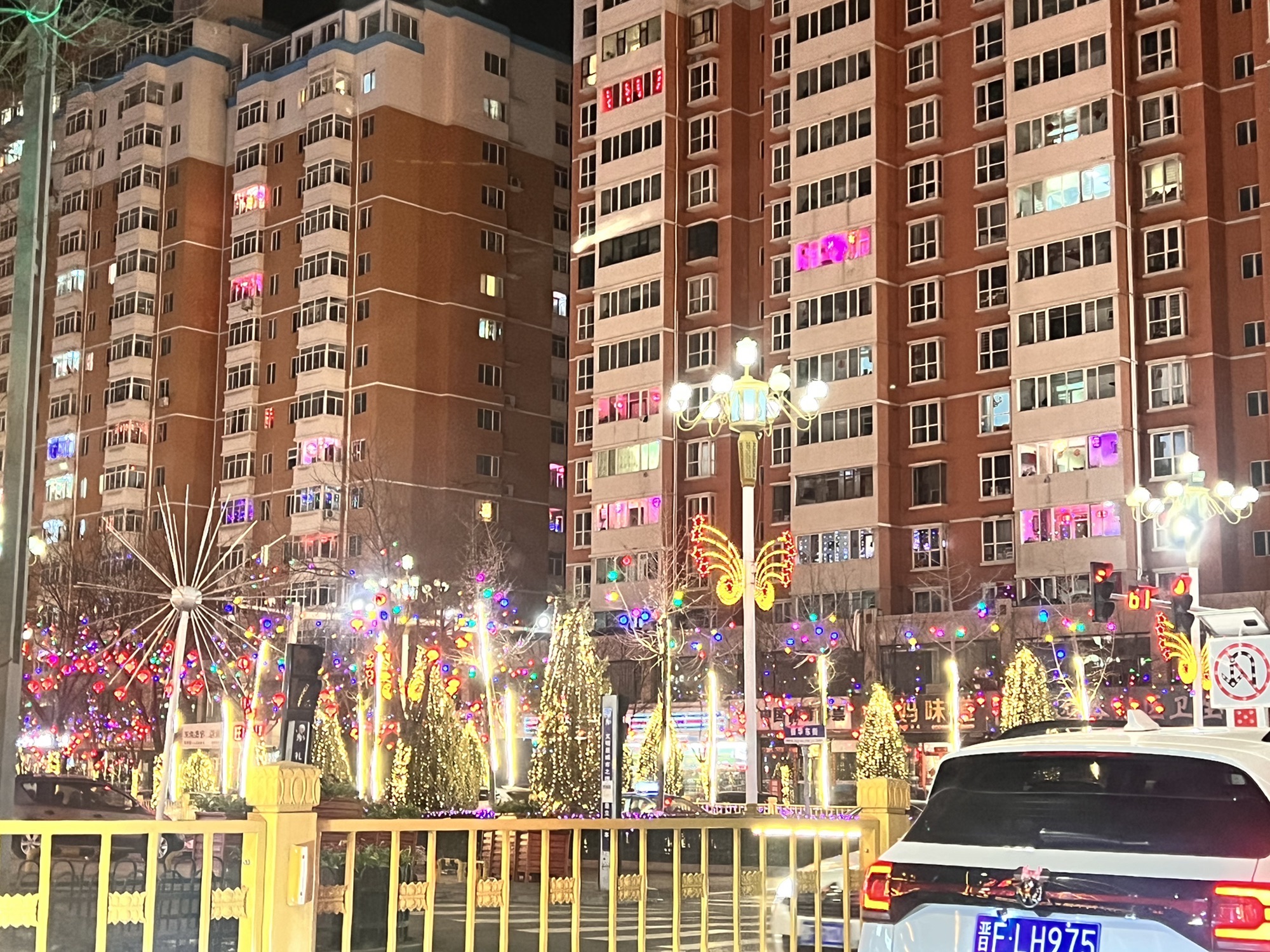 朔州人民公园旅行图片 3