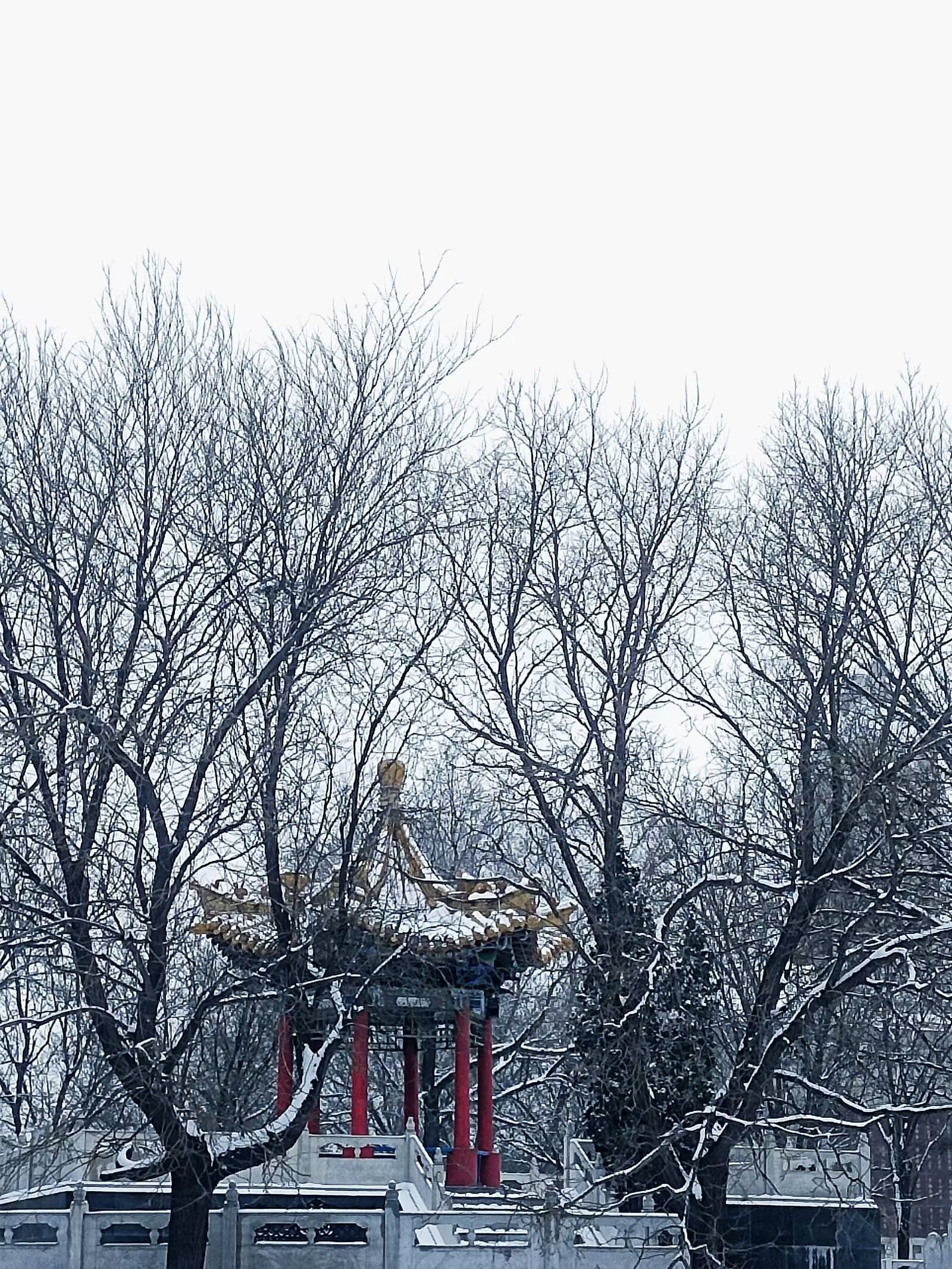 人民公园旅行图片 2