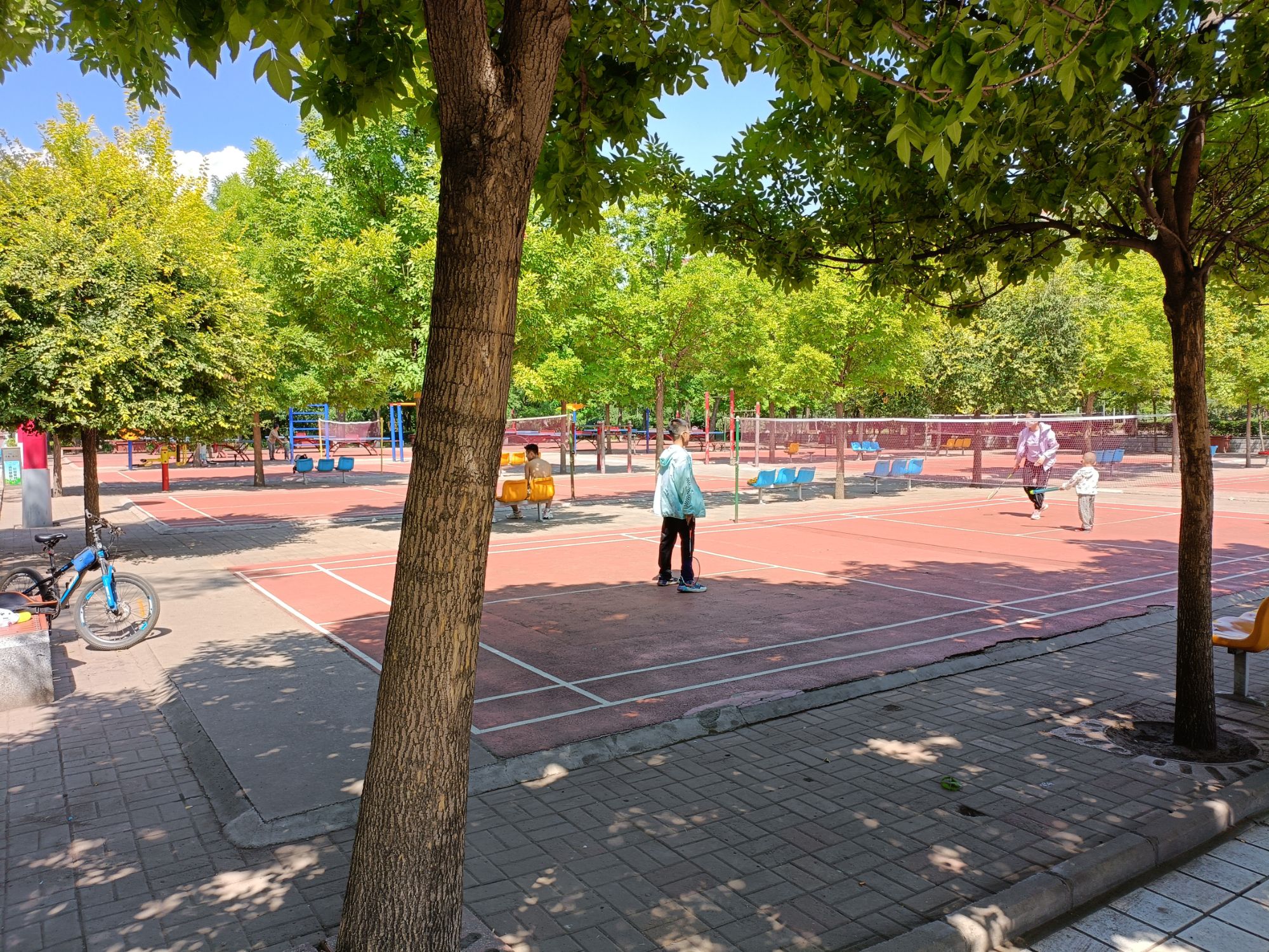 人民公园旅行图片 1